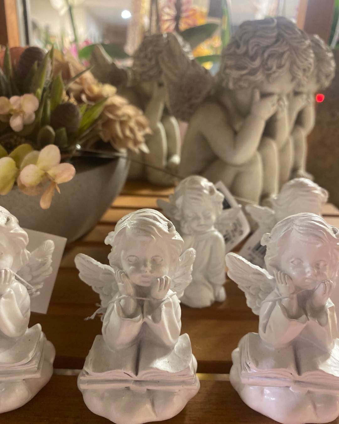 La Toussaint c’est dans 3 jours
Les compositions de plantes, les créations en sapin et les chrysanthèmes partent comme des petits pains !
Mais pas d’inquiétude… le stock a été renouvelé aujourd’hui ! 🌸
Chaque composition est faite main, avec soin et amour, pour fleurir vos pensées et vos souvenirs 🫶🏼
🕊️ En boutique, découvrez aussi une sélection d’anges pour accompagner vos hommages.
📅 Horaires de fin de semaine :
👉 Jeudi & Vendredi : 9h – 12h / 14h – 18h30
👉 Samedi 1er novembre : 9h – 12h
👉 Dimanche : 10h – 12h
📍 A L’Ô DE ROSE
10 rue des Barons de Fleckenstein – Soultz-sous-Forêts
📞 03 88 80 52 23