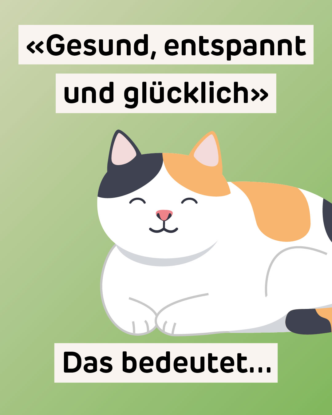 Unser Motto ist "gesund, entspannt und glücklich". Darum denken wir an alle Sinne der Katze, während wir unsere Praxis planen:
👂 Hören: Es wird ruhig sein. Natürlich gibt es bei uns kein Bellen, doch Katzen sind auch empfindlich auf Zisch- und Scheppergeräusche. Darum vermeiden wir Metallgegenstände und achten darauf, dass sich Möbel leise schliessen.
👃 Riechen: Natürlich riecht es nicht nach Hund, doch auch Parfüms oder duftende Handcreme können für Katzen fremd und unangenehm sein. Wir setzen stattdessen auf Pheromon-Stecker, die wir Menschen nicht riechen können, auf viele Katzen aber beruhigend wirken.
✋ Fühlen: Wir verwenden weiche Materialien wie Schaumstoff und Tücher – keine kalten oder rutschigen Metalloberflächen. Eine sanfte Behandlung durch uns Menschen gehört natürlich auch dazu. Dank spezifischen Weiterbildungen und jahrelanger Berufserfahrung wissen wir, wie man ohne Zwang zum Ziel kommt.
👀 Sehen: Bei uns sehen sich fremde Katzen gegenseitig nicht. Damit sie sich selbst nicht erschrecken, vermeiden wir zudem Hochglanz-Oberflächen und Spiegel auf Katzenhöhe. Und zur Sicherheit verzichten wir auch auf grelle Farben.
👅 Schmecken: Snacks spielen in einer Katzenpraxis eine wichtige Rolle. Wir verwenden Schlecksnacks und kleine Goodies als "Bestechungsmittel" und als Ablenkung, um einfach und ohne Zwang ans Ziel zu kommen.
…und natürlich gehört noch mehr dazu. Aber so viel mal für den Moment! 😸💖
#Katzen #katzenliebe #Katzenglück #Solothurn #tierarztpraxis #Tierarzt #Katzenpraxis