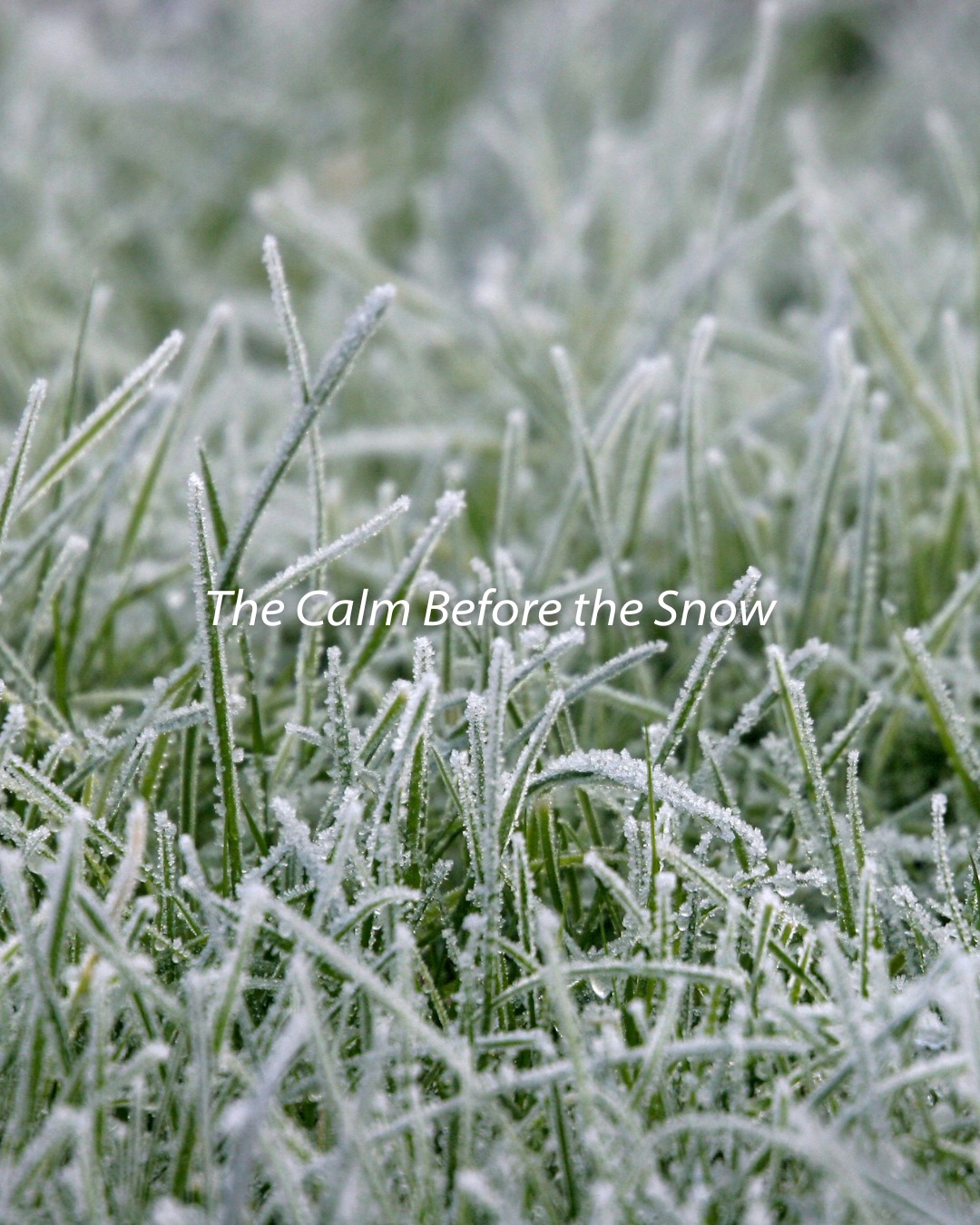 Mountain air and that pre-season buzz. Winter’s just around the corner in Windham.