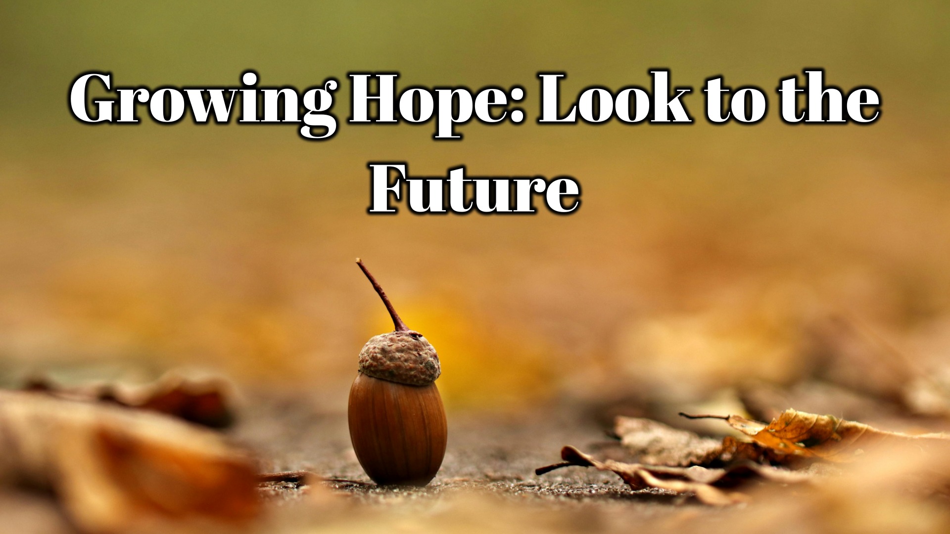 What does the future have in store? If we are stuck looking just at where we are we will never get to where God wants us to be. We have to look to the future.
https://youtu.be/QB4DBU_DEfY