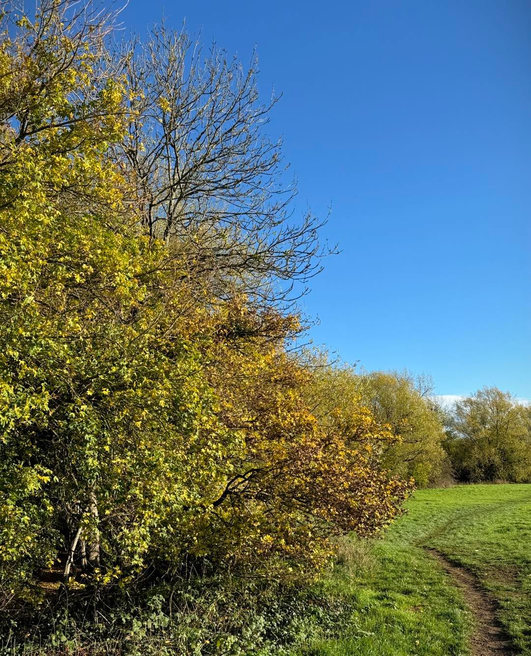 An afternoon walk around Willow Meadows in Carterton, Oxfordshire which is a few minutes from my house. It’s a gap between the town and the perimeter of RAF Brize Norton that has a stream running through it and is home to various wildlife.
Used the Leica app on my iPhone and I really like the results. It gives you various Leica lenses and film simulations to use and there’s no editing really required!
#beautifulengland
#englishcountryside
#leaveonlyleaves
#autumnlover
#monochromephotography
#telegraphpole
#rural
#photosofengland
#photosofbritain
#countrysidelife
#ruralscenes
#cotswoldsviews
#countrysideviews
#meadows
#fortheloveoftrees
#naturevibes
#cotswoldsphotographer
#autumncolours
#autumnmood
#thecotswolds
#iphonephotography
#iphoneonly
#iphone15promax #blackandwhitephotography
#autumnvibes
#autumnleaves
#autumnvibes
#leica