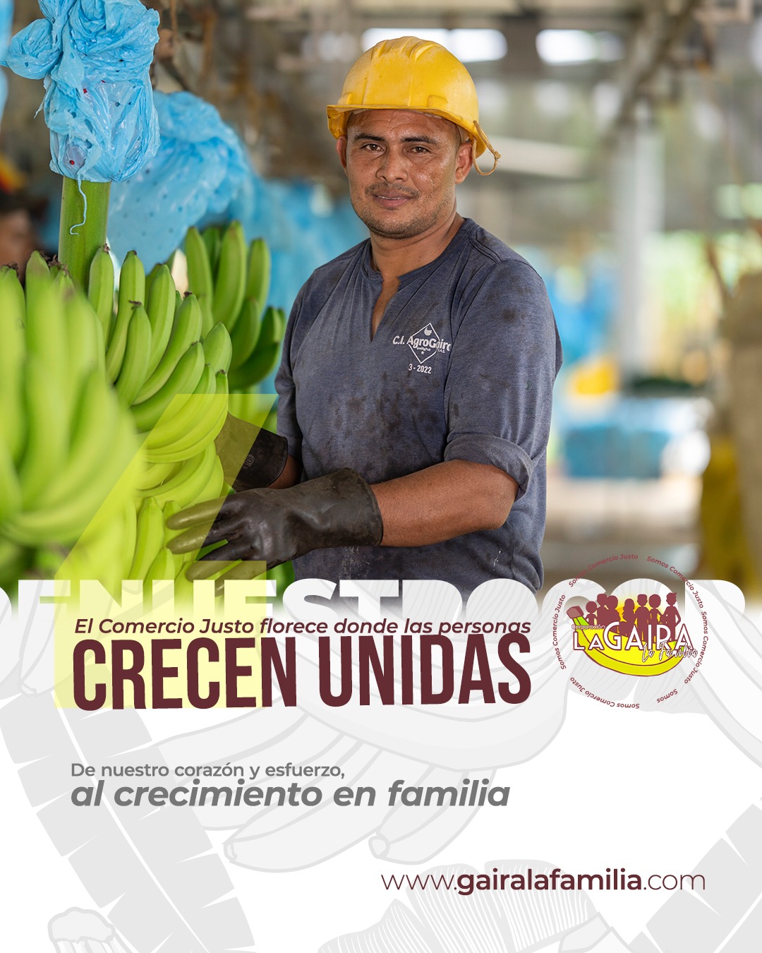 La justicia no solo se defiende, también se cultiva.
Cada acción basada en el respeto, la equidad y la solidaridad es una semilla que fortalece a las comunidades y construye un futuro más justo para todos. 🌍✨
El Comercio Justo impulsa relaciones donde cada persona cuenta, donde el trabajo digno florece y donde el bienestar colectivo es el verdadero fruto del esfuerzo compartido. 🌾💚
#agropecuarialagaira #calidad #sostenibilidad #colombia #Urabá #SomosComercioJusto #Fairtrade