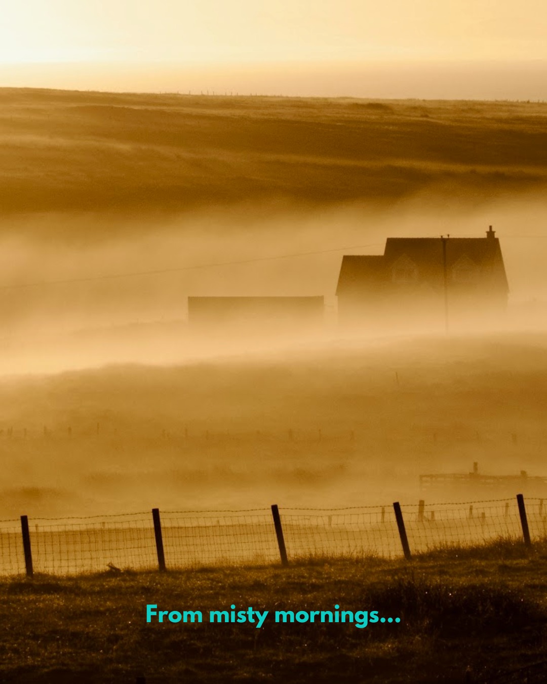 Is it too early.... just over 7 weeks to go until šš
Looking for a gift for someone who loves North Lewis, or maybe a wee stocking filler for yourself?! The 2026 @urrasog calendar is packed with stunning local photos, from collies in the heather to misty mornings and mighty waves, and makes a perfect gift.
Just £10, it is available from the South Galson Business Centre, www.galsontrust.com and local retailers across North Lewis.
Add one to your basket and reward yourself for ticking off a gift from your shopping list! ā
#visitnorthlewis #northlewis #isleoflewis #westernisles #outerhebrides #hebrideanisland #hebrides #hebridean #scotland #visitscotland #visitouterhebrides #scottishisland #explorescotland #scottishphotography #islandlife @visitscotland #visitscotland @visitouterhebrides #highlandchristmas #scottishchristmas #christmasgiftideas