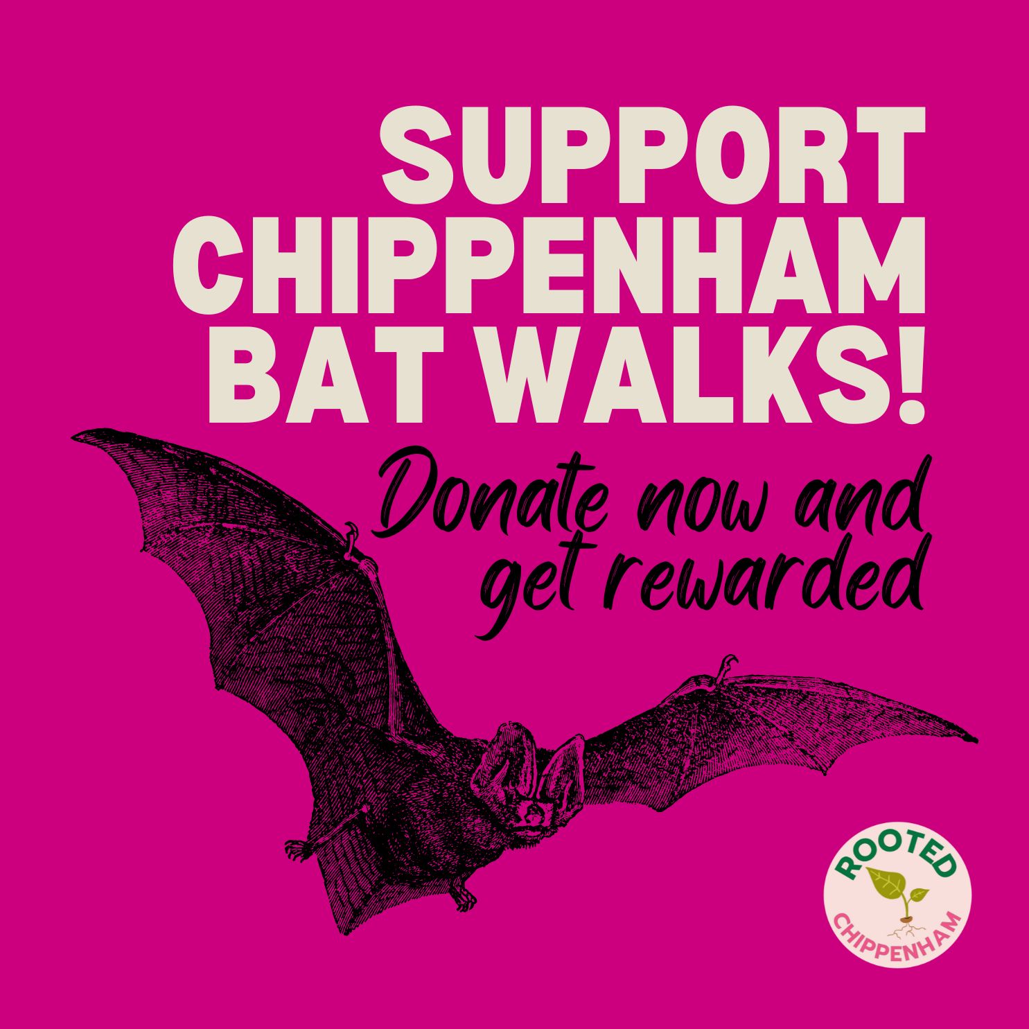 We bring nature, learning and community together 🌿
Our public bat walks are run entirely by volunteers who love wildlife and sharing knowledge with others. We’re raising money to buy our own equipment so we can run them for free from 2026.
Grab a Crowdfunder reward and help us make regular bat walks in our local wildlife hotspots accessible for everyone.
🦇 Donate today 👉 Link in BIO
#RootedChippenham #Chippenham #CommunityPower #Wildlife #VolunteerSpirit