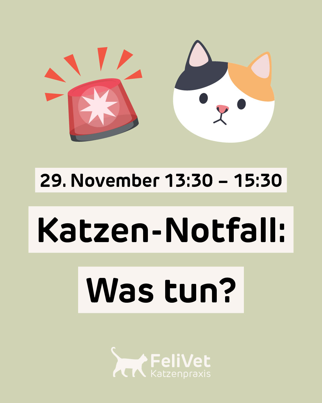 🚨🙀 Plötzlich kommt Ihr Büssi mit einer Wunde nach Hause, hinkt oder erbricht. Was jetzt?
Tierärztin Carol Zahnd erklärt im Kurs am 29. November die häufigsten Katzen-Notfälle. Was ist überhaupt ein Notfall? Welche Gefahrenquellen lauern im Alltag? Was ist das richtige Verhalten bei einem Unfall oder plötzlicher Krankheit?
Wer vorbereitet ist, erspart dem Büssi und sich selbst viel Stress.
Der Kurs findet am Zeughausweg in Zuchwil statt und ist kostenlos, wir sammeln aber eine freiwillige Kollekte für @handicapcats.ch. 💖
Mehr Infos und Anmeldung unter: www.felivet.cat/kurs (klickbar in unserer Bio)