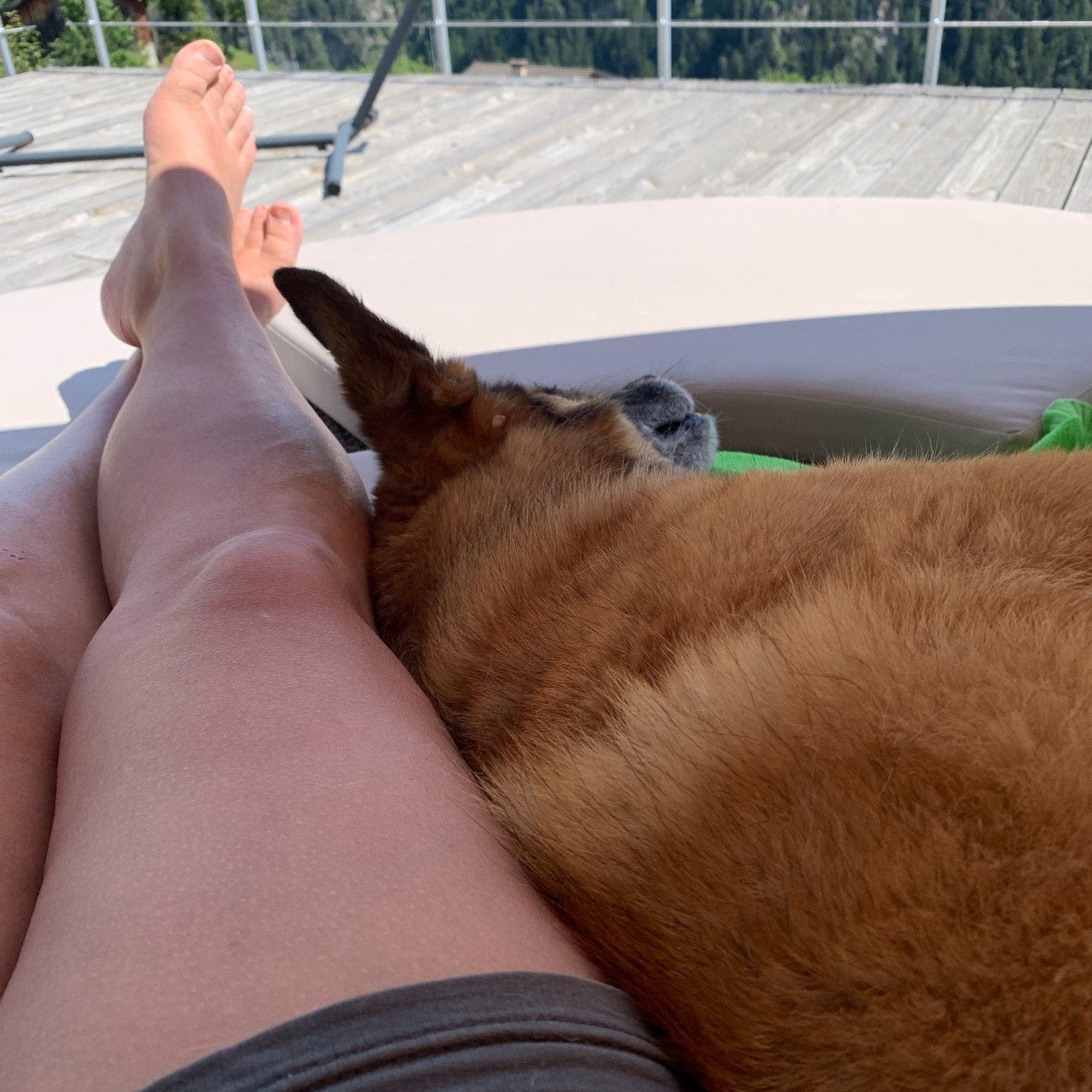 Hilfe durch Führung geben.
Führung bedeutet nicht Zwang.
Führung bedeutet nicht, zu unterdrücken.
Führung bedeutet nicht, keinen Spass zu haben.
Führung bedeutet nicht Gewalt.
Führung bedeutet nicht, nicht zusammen zu kuscheln.
Führung bedeutet nicht, jeden Schritt vorzugeben.
Führung bedeutet auch nicht, ein Leckerchen immer bereit zu halten.
Führung ist viel mehr.
Führung schafft Vertrauen.
Führung schafft Sicherheit.
Führung schafft Freiheit.
Führung hilft bei Angst, Frust, Kontrollverlust.
Führung ist Kommunikation.
Führung ist fair, aber auch konsequent.
....
Für unsere Hunde das Normalste auf der Welt.
#ajhundetraining #care4animals #hundetraining #hundetrainingmitherz #hundeführenmitgefühl