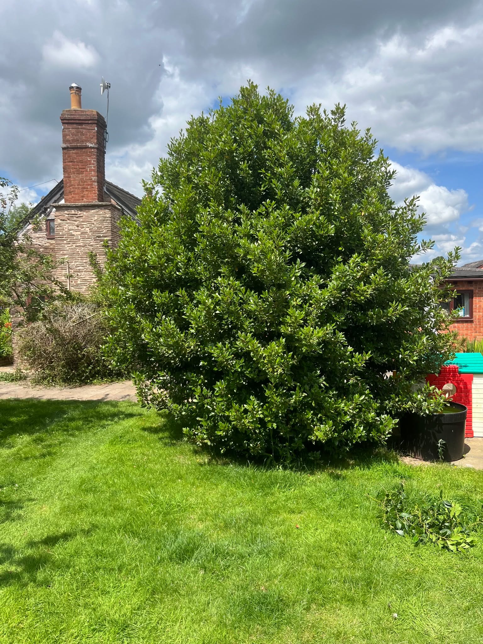 🌳✂️ TREE CUTTING TRANSFORMATION – MORE SPACE, MORE LIGHT!
Check out this amazing before and after from our latest job!
Our team carefully cut back and removed a large tree, instantly opening up the garden and creating so much more usable space. 🌿
The result? A brighter, more spacious garden that feels completely renewed.
📸 Swipe to see the transformation you’ll be amazed at how much room we’ve created!
📲 Want to open up your garden too? Contact Four Seasons Maintenance today for your free quote!
📞 07952 963169
📧 info@fourseasonsmaintenance.co.uk
🌐 www.fourseasonsmaintenance.co.uk
#FourSeasonsMaintenance #TreeCutting #BeforeAndAfter #GardenTransformation #OutdoorLiving #LandscapingExperts #GardenMaintenance #HomeAndGarden #SupportLocal #PropertyCare #GardenSpace