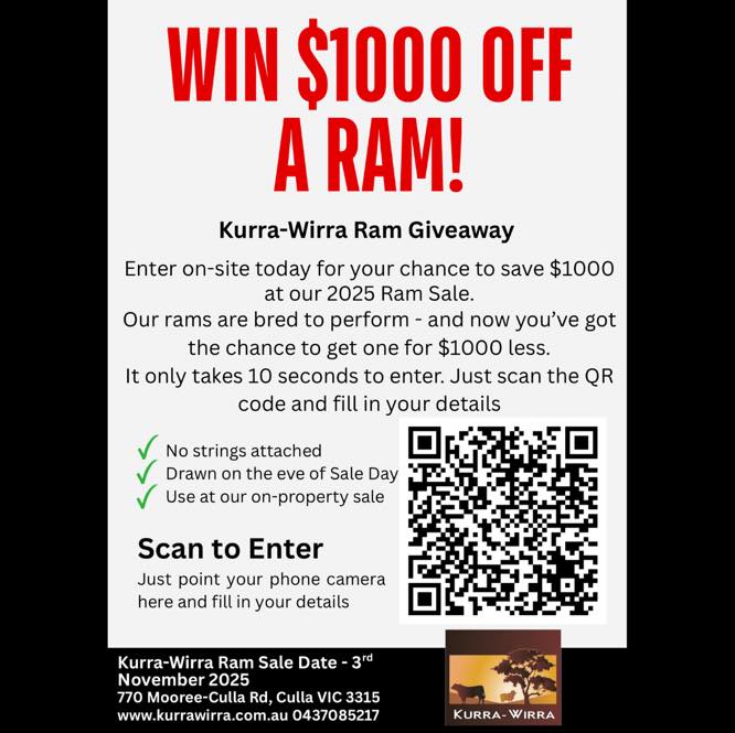 🎉 LAST CHANCE TO WIN $1000 OFF A RAM! 🎉
Today’s your final day to enter the Kurra-Wirra Ram Giveaway — one lucky entrant will score $1000 off a ram at Monday’s on-property sale!
It only takes 10 seconds to enter — just scan the QR code or click the link and fill in your details.
The winner will be drawn tomorrow morning, the day before the sale.
✅ No strings attached
✅ Use at our on-property sale
✅ Drawn on Sale Day Eve morning
📅 Kurra-Wirra Ram Sale — Monday 3rd November
📍 590 Mooree-Culla Rd, Culla VIC 3315
💪 150 ‘Measured to Perform’ rams on offer
👉 Scan below or visit https://www.kurrawirra.com.au/event-details/kurra-wirra-measured-to-perform-merino-ram-sale-2025 to enter before it’s too late!