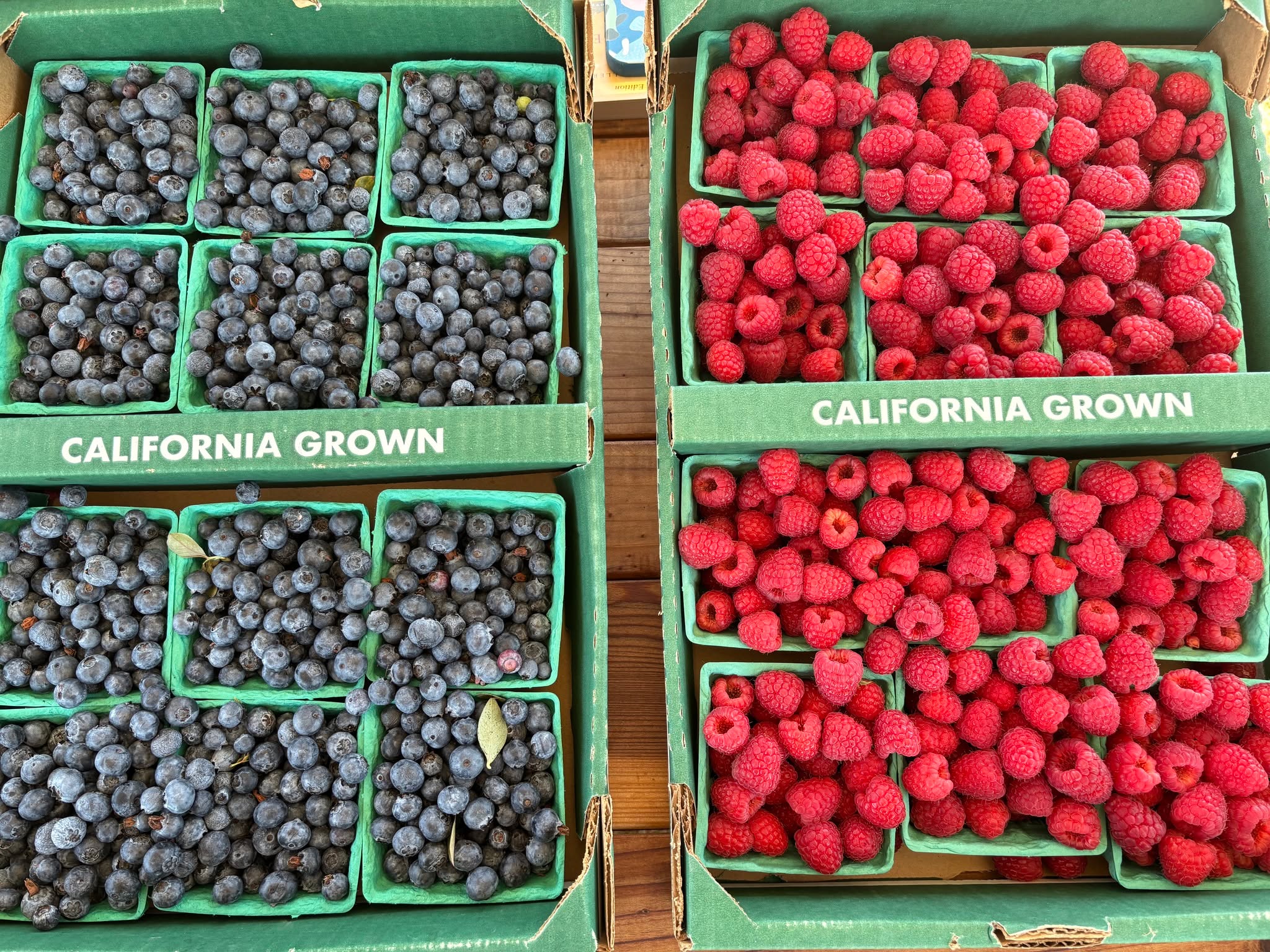 Our Pay-What-You-Can Farm Stand is here for you!
Saturdays 10 AM - 1 PM at City Farm SLO
As the federal government shutdown stretches into November, nearly 30,000 individuals in SLO County are expected to receive less help affording groceries. At City Farm, we are working to ensure that all people have access to our high-quality fruits and vegetables through our Pay-What-You-Can Farm Stand.
Join us every Saturday from 10 AM - 1 PM to shop a vibrant selection of fresh vegetables, fruits, and cut flowers, all grown with organic and regenerative methods by City Farm SLO and our City Farmer Collaborative. You'll also find: Bread Bike breads; fibers from our sheep flock; dried goods and more seasonal offerings.
To ensure accessibility for all, we offer up to $30 off fruits and vegetables for any customer at every visitโno questions asked. Just shop and pay what you can. While you're here, take a self-guided tour of the farm, meet our animals, or join a volunteer activity!
#foodforall #accessforall #regenerativefarming #slocounty #foodrelief