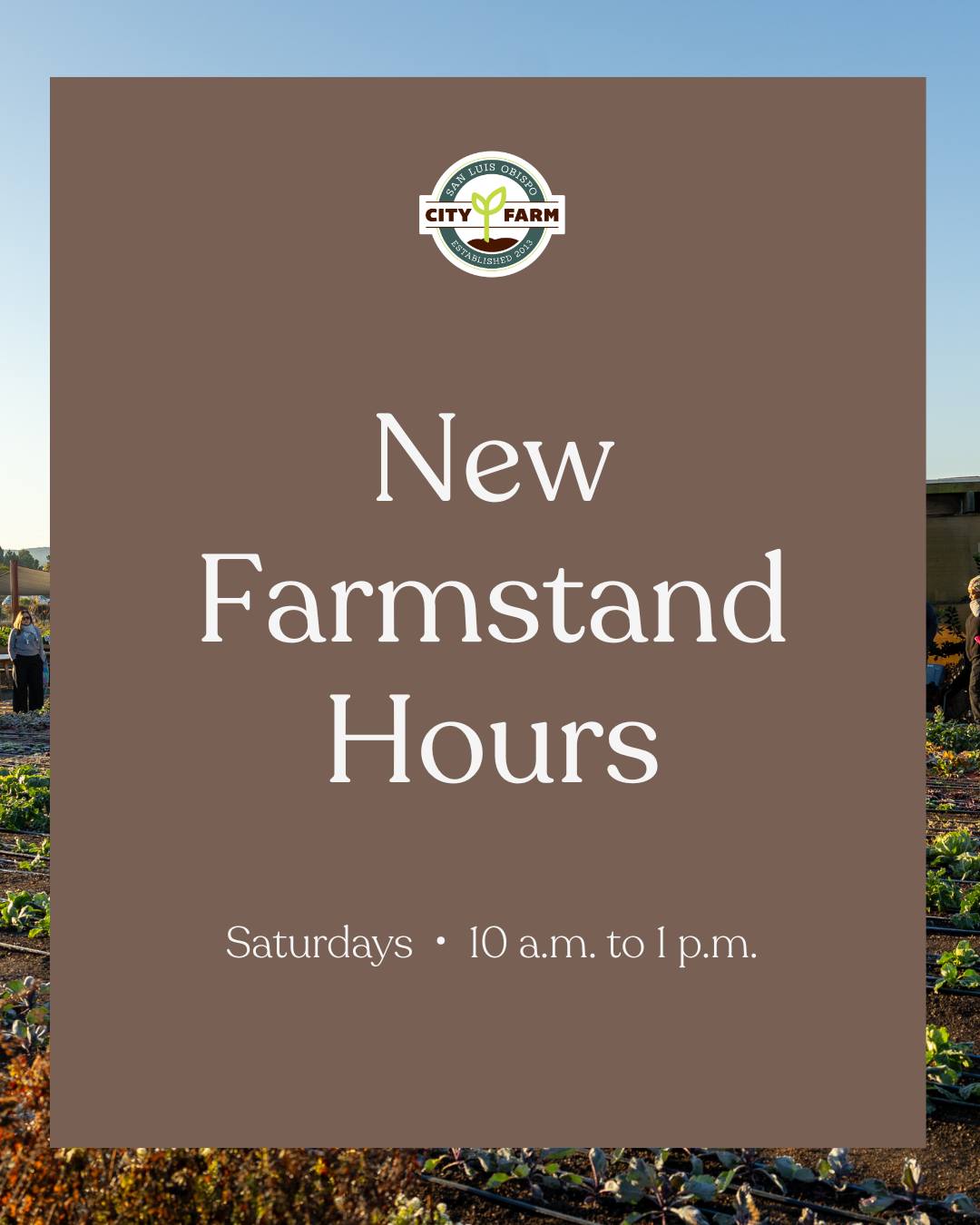 ๐ฉ๐ผโ๐พ Farmstand hours are now Saturdays 10 a.m. to 1 p.m.! This week we have berries, butternut squash, greens, shishitos, tomatoes, persimmons, and more. With our pay-what-you-can model, you can get up to $30 off your purchase, no questions asked.
๐1221 Calle Joaquin, SLO
๐ณ We accept cash, card, and Venmo. All sales directly support our farming programs and youth programs.
#farmstand #organic #regenerativefarming #cityfarmslo #local #fresh #veggies #sanluisobispo