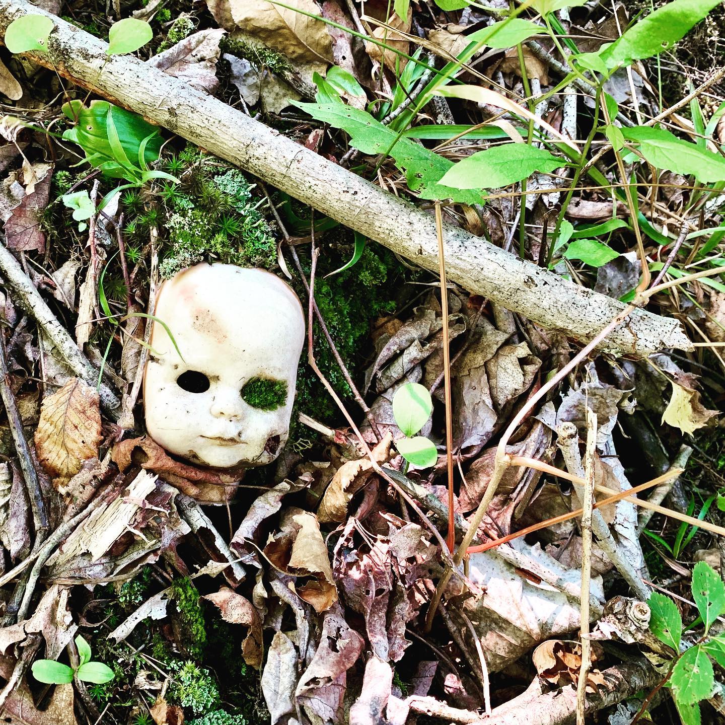 In honor of Halloween, we're sharing this creepy old doll head our team unearthed during our stream restoration at Nancy Conger West Brook Preserve in 2020. She definitely belongs in @weirdnjinsta . Hope she’s not cursed!