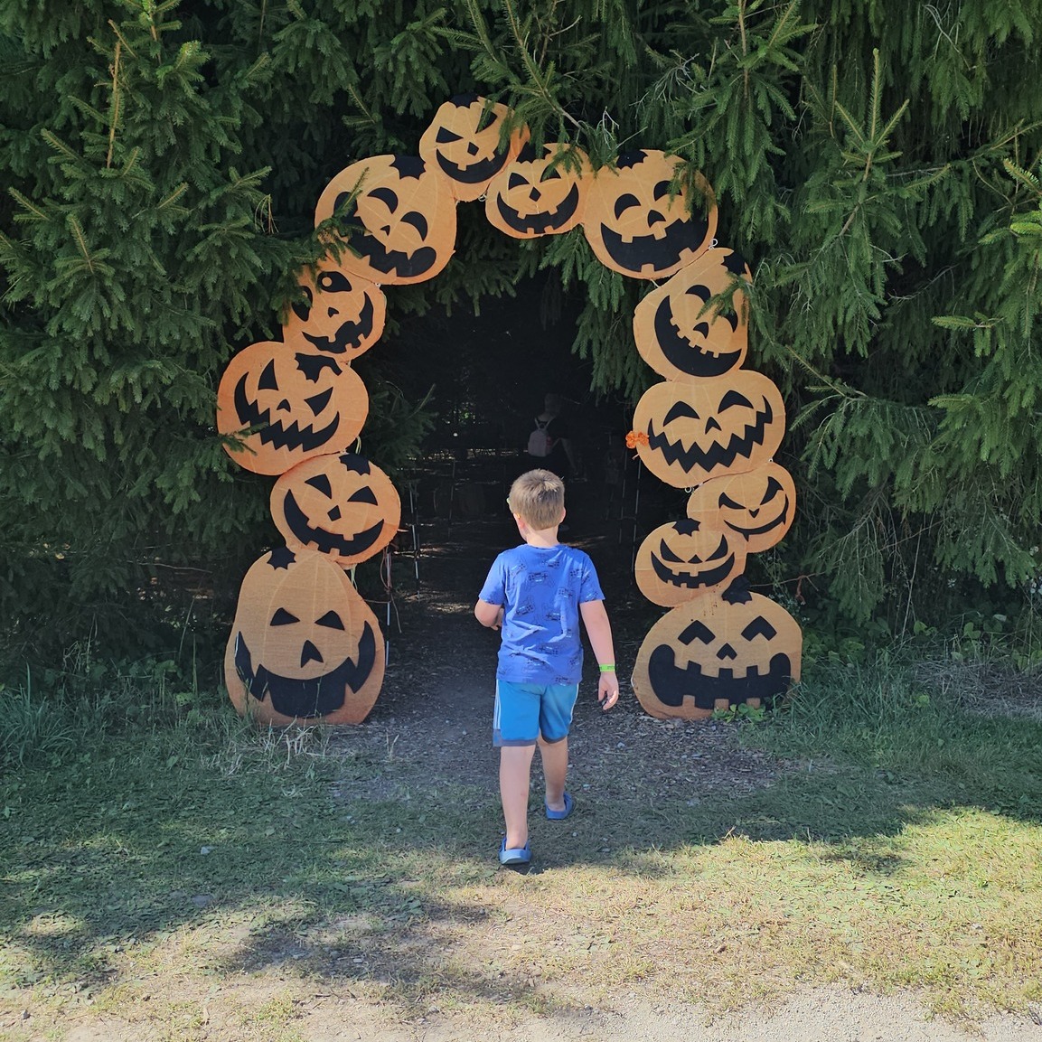Fall Magic Awaits at Wisconsin’s Pumpkin Patches 🎃🍎
Our guide to the best pumpkin patches in Wisconsin helps you find spots where kids can play, parents can relax, and everyone leaves with smiles (and maybe muddy shoes)!
Tap the link in bio for all the family favorites!
🍁 Grab the ultimate packing checklist and parent tips—so you can focus on fun, during these final weeks of fall weather!
🍂 @thelittlefarmerwi – Malone / Fond du Lac
🍂 @busybarnsadventurefarm – Fort Atkinson
🍂 @waldvogelsfarm – Juneau
🍂 @ebertsgreenhouse – Ixonia
🍂 @bassesfarms – Colgate
#familyfunWisconsin #Wisconsinfallfun #pumpkinpatchadventures #familytravelblogger #Wisconsinweekendtrips #fallwithkids #Wisconsinfarmfun #Midwestfamilytravel #fallphotographyspots #pumpkinpatchideas #4TicketsToTravel #Wisconsinfamilyblogger #Wisconsintravelguide #fallfamilyadventure #pumpkinseason