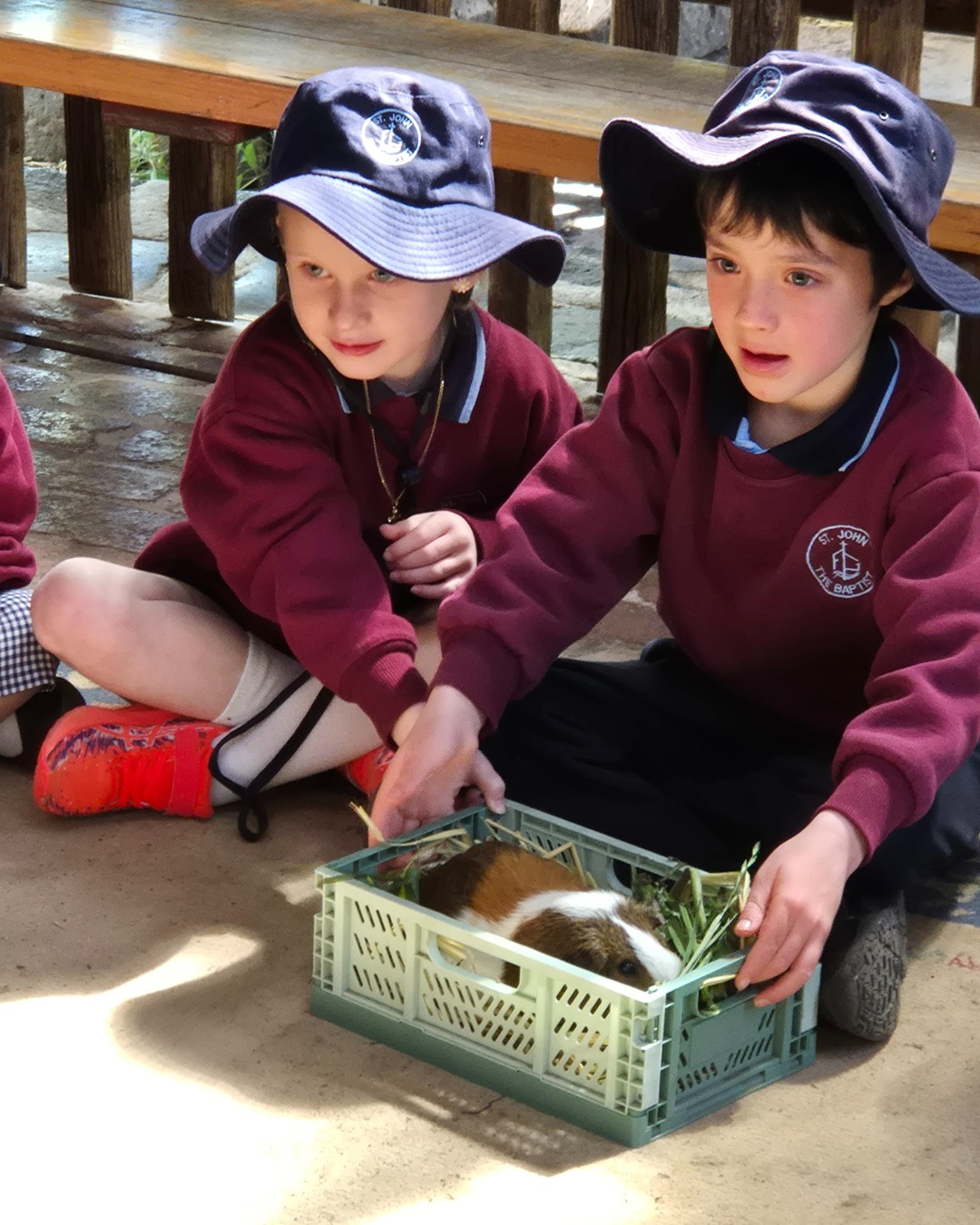 Prep Adventures at Collingwood Children’s Farm! 🐑🌿
Our Prep students had a wonderful day exploring Collingwood Children’s Farm! They loved meeting the animals, learning about farm life, and experiencing hands-on activities in the fresh air.
We’re so proud of our little learners embracing adventure and showing excitement for learning outside the classroom! 🌱
#SJB2025 #stjohnthebaptistprimaryferntreegully #melbournecatholicschools #HopeFilledCommunity #enrichedcommunities #lightingtheirpath #catholiceducation