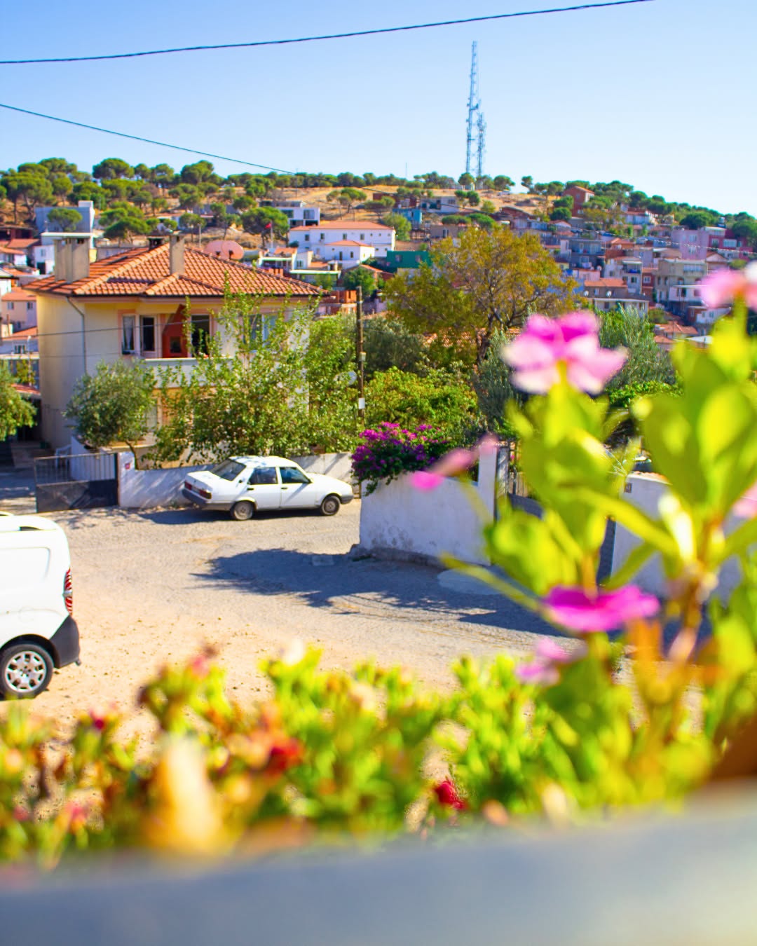 Ayvalık’ta her köşenin kendine özgü bir
hikayesi var.
Ayvalık Akan Pansiyon da o hikayenin sakin, huzurlu
satırlarından biri.
Burada telaş yok, acele yok — sadece iyi hissettiren bir
atmosfer var.
Kahveni yudumlarken zamanı unut, günü olduğu gibi
yaşa. 🍃