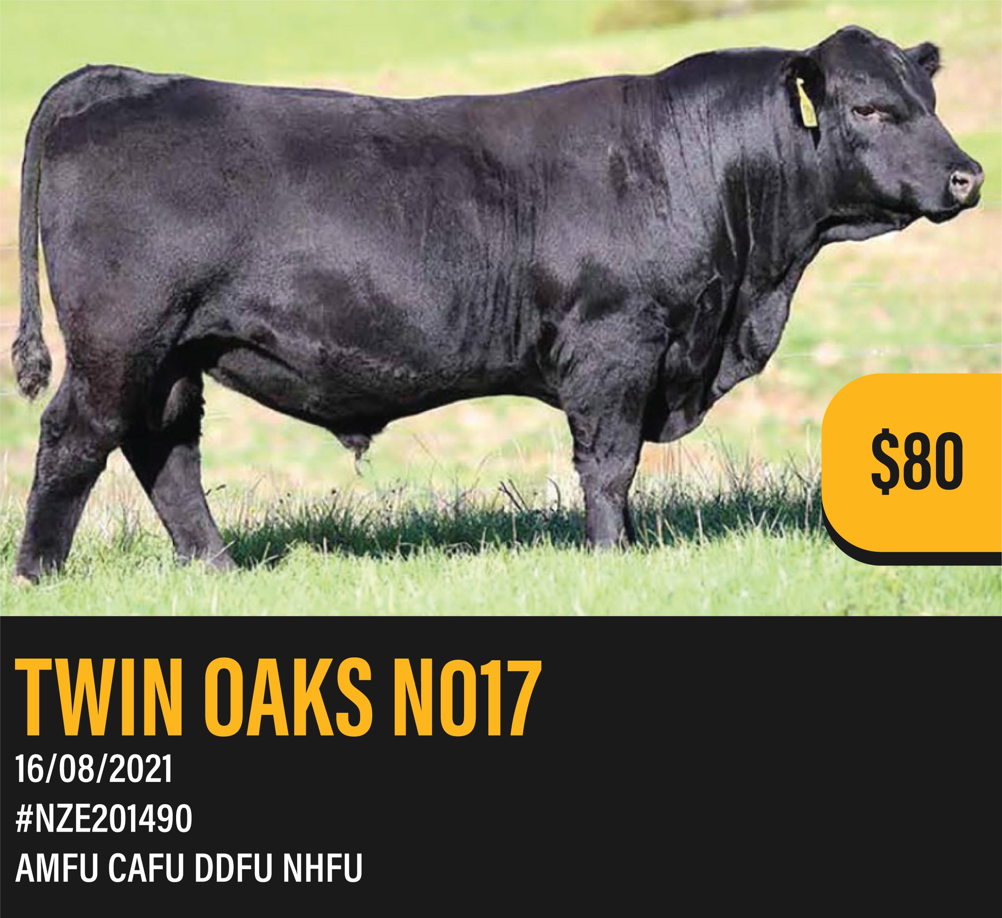 Meet TWIN OAKS NO17
Straws available now.