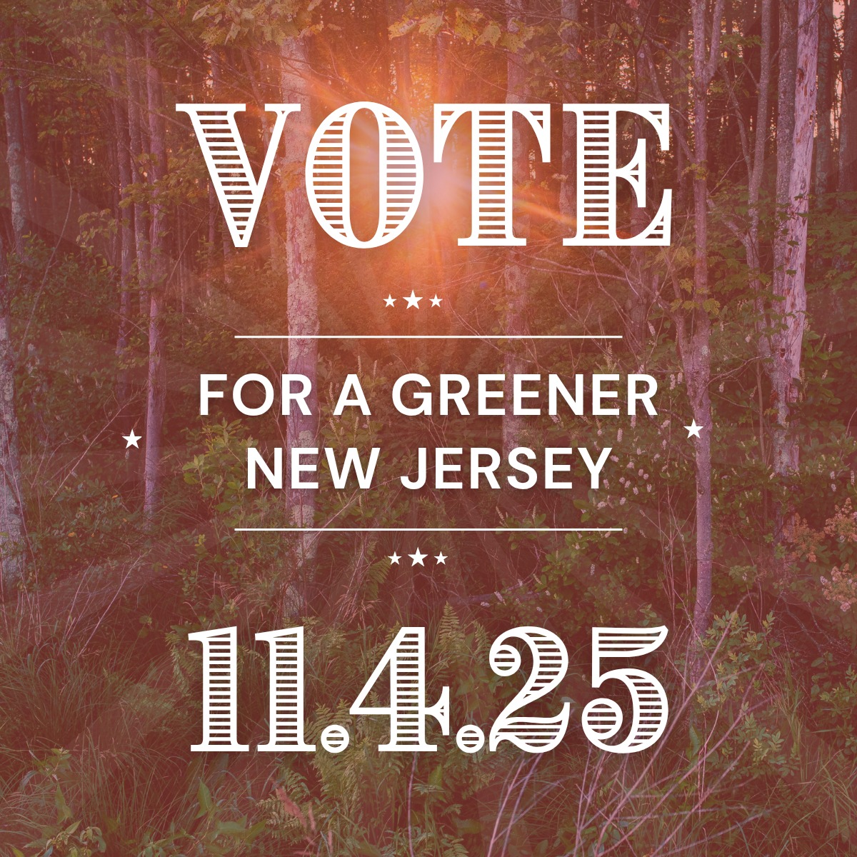 If you care about green spaces and quality of life in New Jersey, make sure you vote next Tuesday, 11/4! A number of Open Space measures are on the ballot in Sussex, Morris, and Monmouth counties, as well as in towns like Hampton, Stillwater, Morristown, and Ridgewood Village. It’s your time to shine!