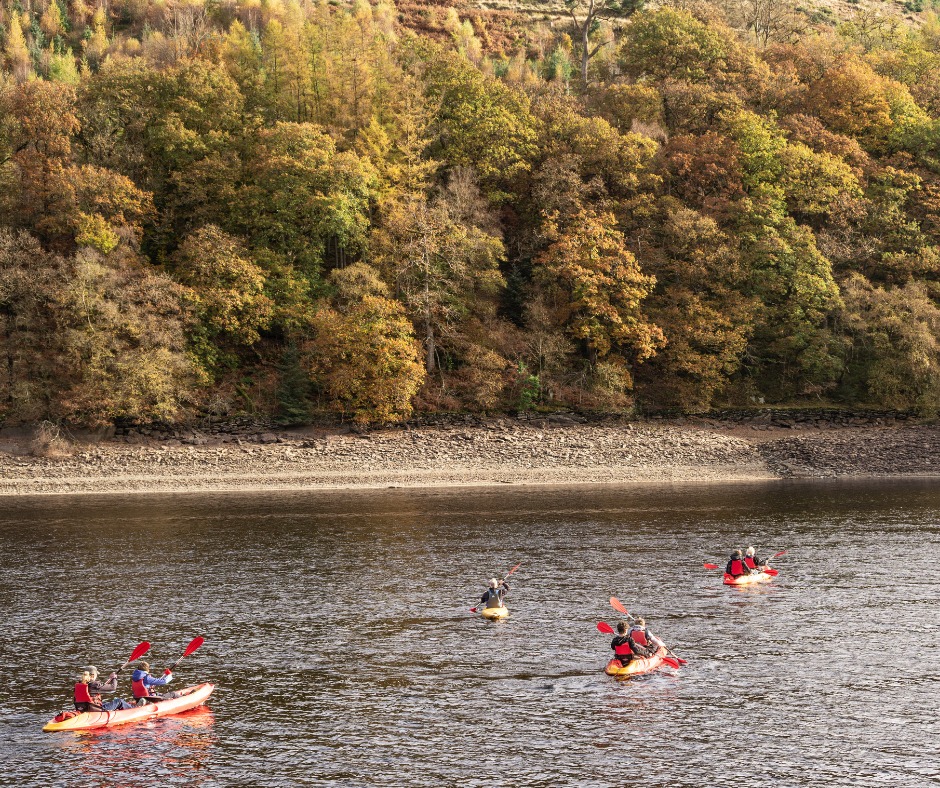 Powys’ rolling valleys and gentle hills are perfect for a late autumn/ early winter escape.
Wander quiet trails, explore hidden viewpoints, and watch the landscape shift from amber autumn to early winter hues. Pack a picnic or a flask, breathe in the fresh air, and let the open skies remind you why Mid Wales is a destination for discovery all year round.�#MidWalesMyWay #PowysOutdoors #AutumnAdventures #HiddenGems
Mae dyffrynnoedd llifo a bryniau meddal Powys yn berffaith ar gyfer dianc ddiwedd hydref. Crwydrwch llwybrau tawel, archwilio mannau cudd, a gwylio’r dirlun yn troi o aur y hydref i liwiau cynnar y gaeaf. Paciwch picnic neu flasg, anadlu’r awyr iach, a gadewch i’r awyr agored eich hatgoffa pam mae Canolbarth Cymru yn gyrchfan i’w darganfod drwy’r flwyddyn.�#MidWalesMyWay #AwyrAgoredPowys #AnturHydref #CraithCudd