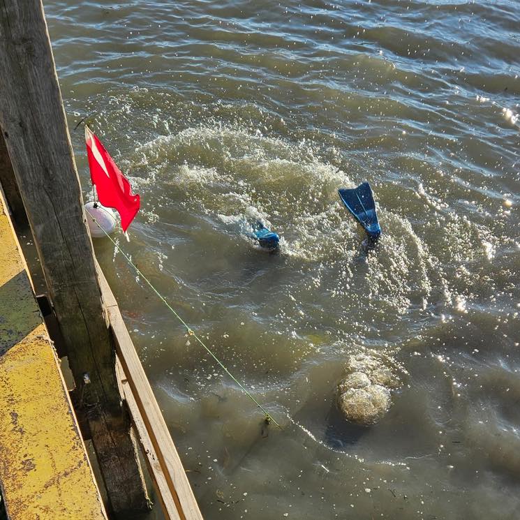 Today was a beautiful warm day to dive for a phone for James at the Selfridge DNR Launch!
.
.
#recoverydiving #lakestclair #greatlakesstate #detroitriver #stclairshores #clintonriver #harrisontownship #boattown #algonac #stclair #metrobeach #michigansummer #michiganboating #puremichigan #michiganmarinas #metaldetector #safeharbormarinas #metaldetecting #Underwatermetaldetecting