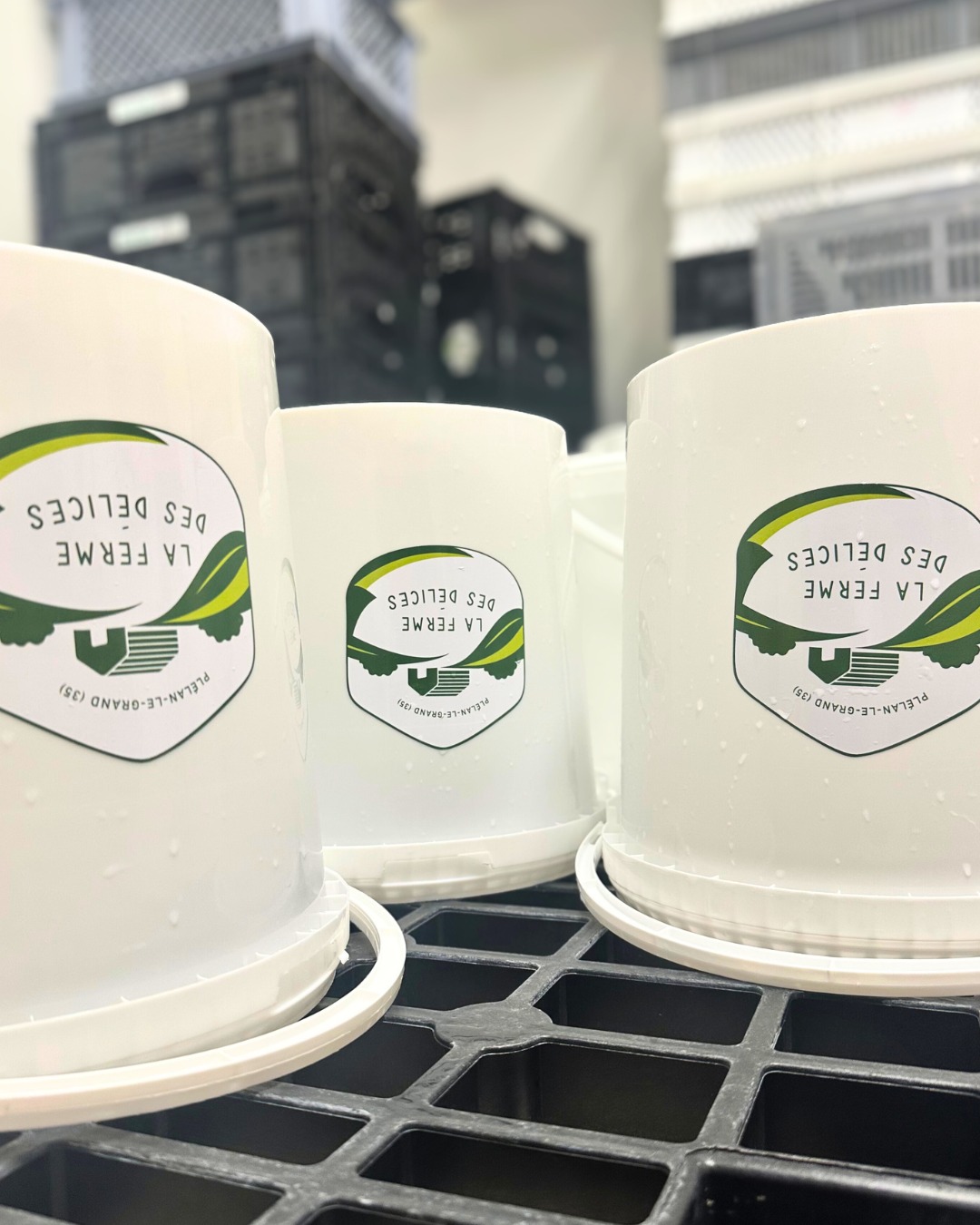 🎵 Nettoyer, balayer, astiquer… 🎵
Petit rappel : la vie dans un labo, c’est aussi ce quotidien incontournable ! 🪣💦
____
#lafermedesdelices #transformationalaferme #yaourtbio #plelanlegrand