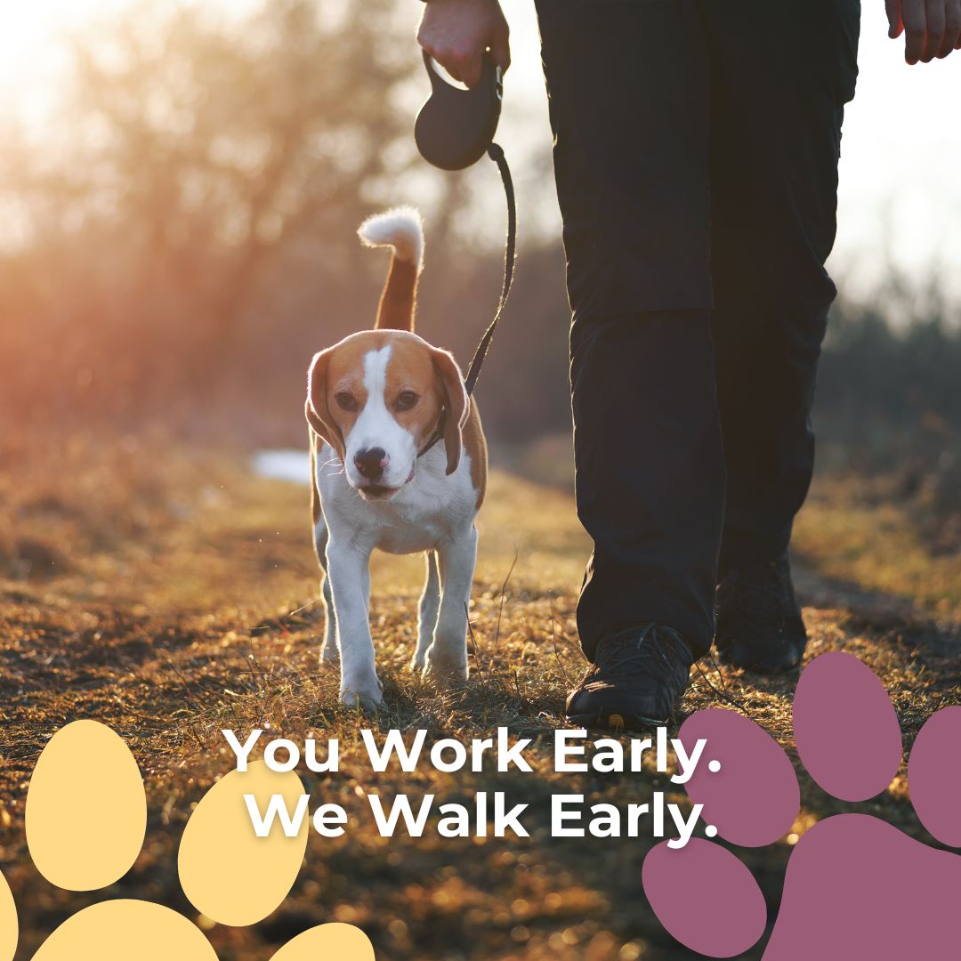 Early shift or packed mornings? We handle the first potty break + brisk walk so your dog starts the day relaxed and you start on time.
#NoDogTooSmall #MorningWalk #DogWalking #BusyMornings #PetCare #DogMom #DogDad #LocalPetSitter #PunctualPups #RoutineMatters #HealthyHabits #WorkDayReady #HappyPup #PetPros #DogLife