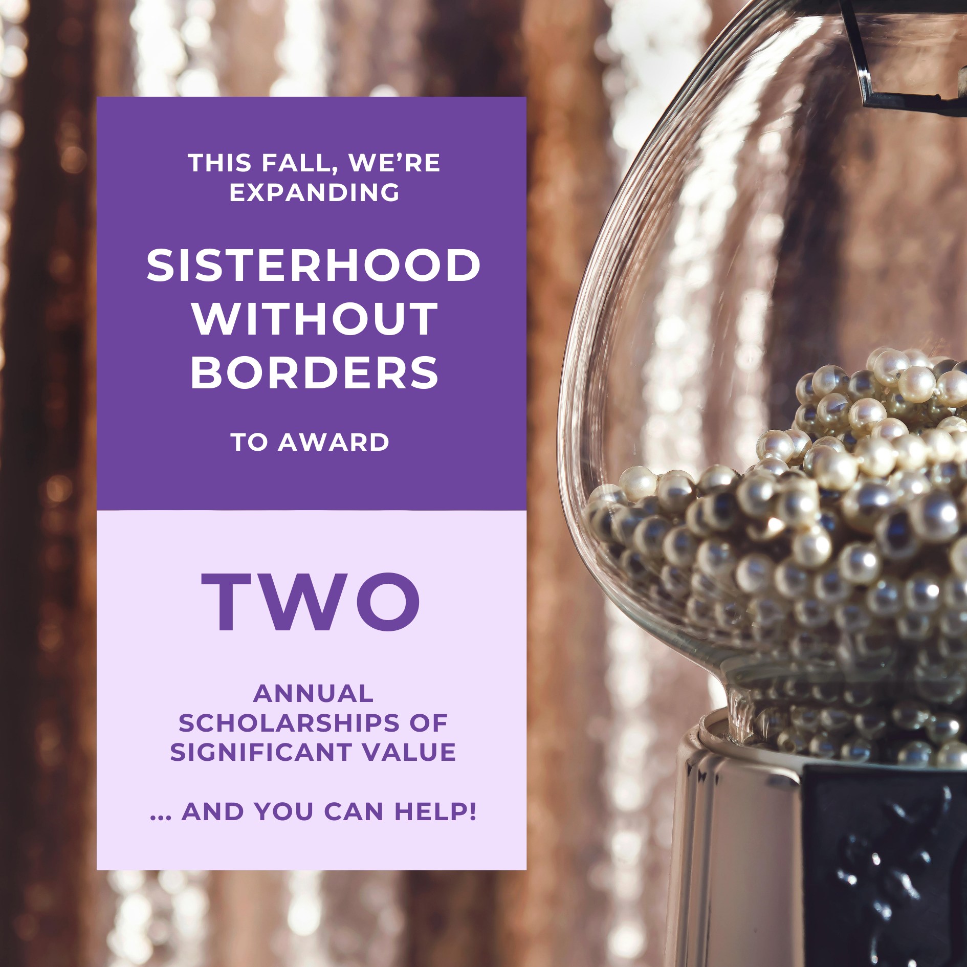 The EAC is proud to support studying Sigma Kappas with our Sisterhood Without Borders Scholarship. We have been able to grant a scholarship to a sister for the past 14 years and we would like to be able to expand our reach and begin supporting two sisters annually. Donating to our scholarship fund helps us get closer to our goal, especially this November as for every dollar pledged, your contribution will be matched up to $2,000!
If you would like to contribute to our scholarship fund, please follow the link in our bio 💜
