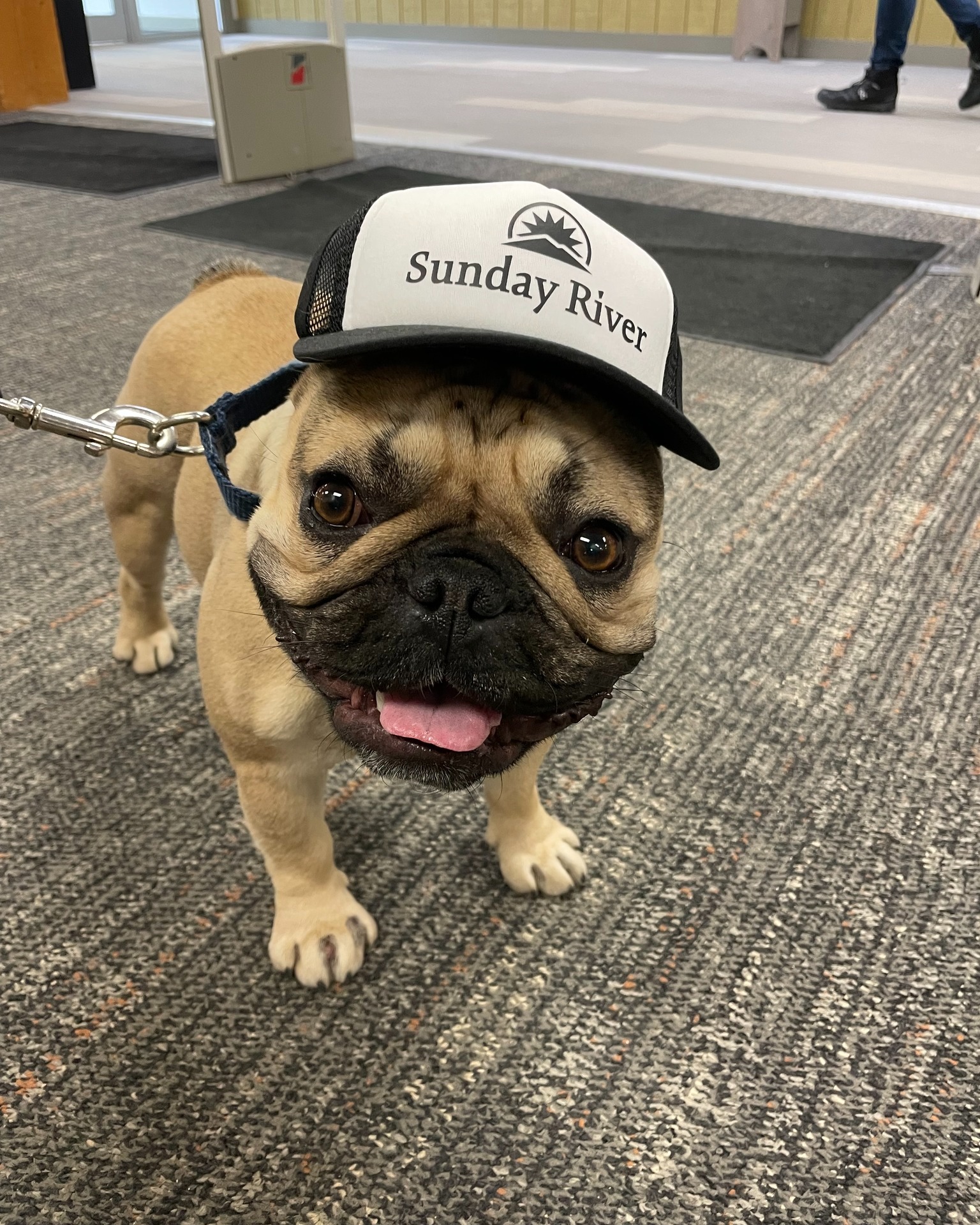 sundayriverrealestate