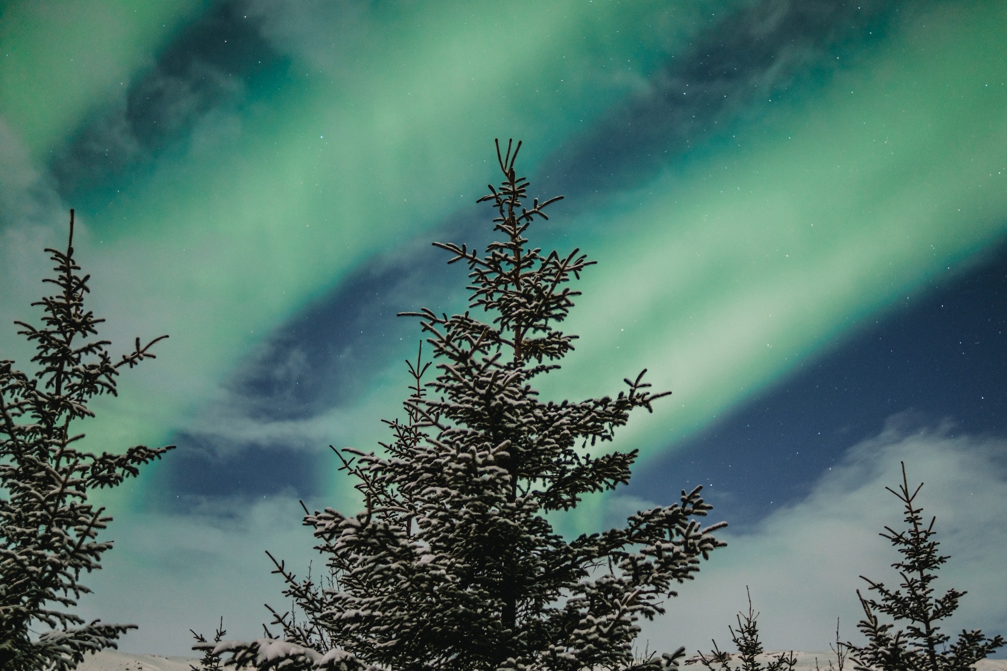 Staying in Hveragerði is like stepping into a dream. Nestled among steaming hot springs and lush hills, the town’s natural beauty surrounds you at every turn. By day, you can wander through geothermal parks, admire cascading waterfalls, and soak in warm, mineral-rich pools. Then, as night falls, the sky often comes alive with the dancing colors of the northern lights — a breathtaking spectacle that turns this peaceful Icelandic haven into pure magic.
#Hveragerði #IcelandAdventures #NorthernLights #GeothermalWonder #TravelIceland #NatureEscape #VisitHveragerði #VisitIceland #travel #Iceland #DiscoverHveragerði #ExploreIceland #IcelandicMagic