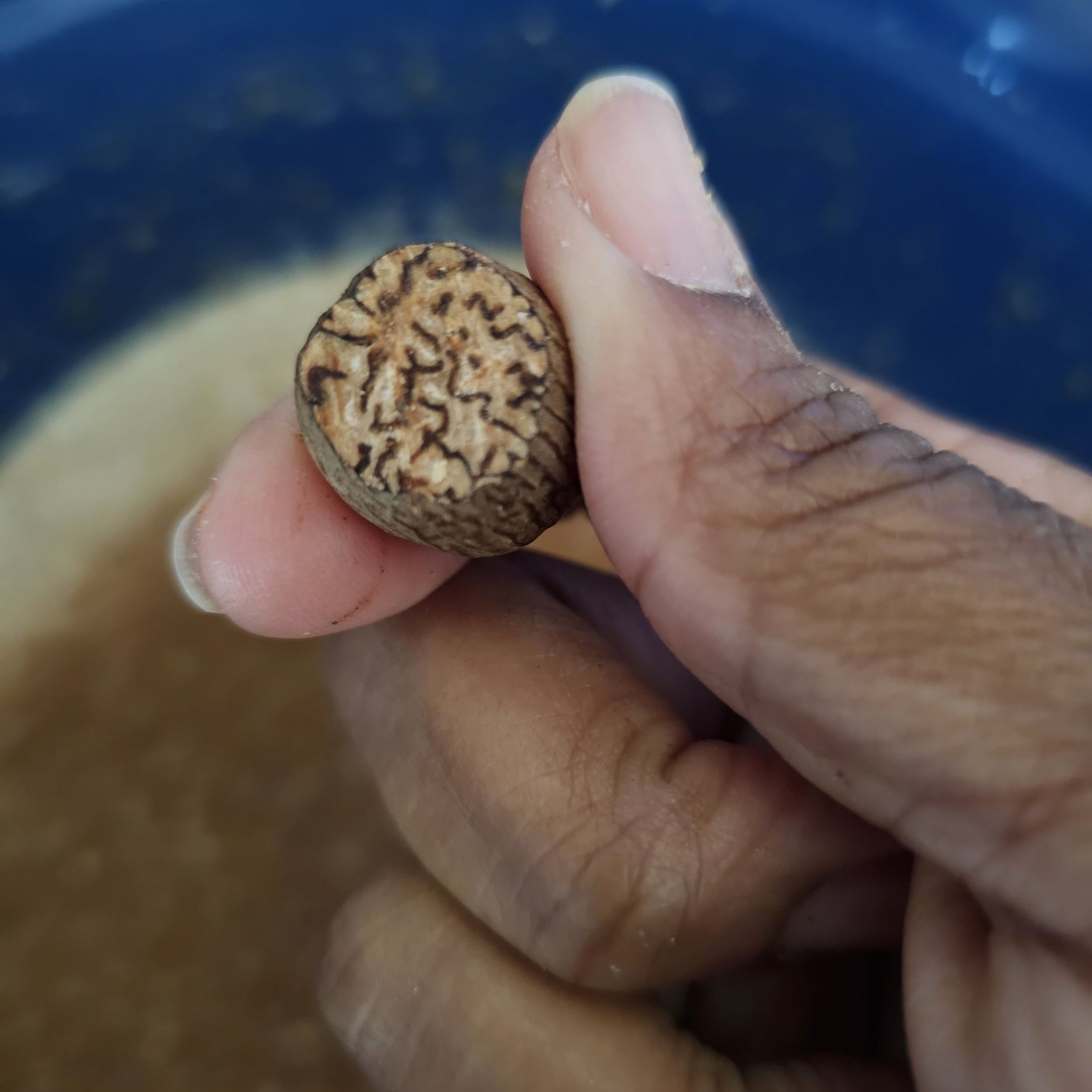 Something about the smell of freshly grated nutmeg 🤤.
❤️❤️❤️