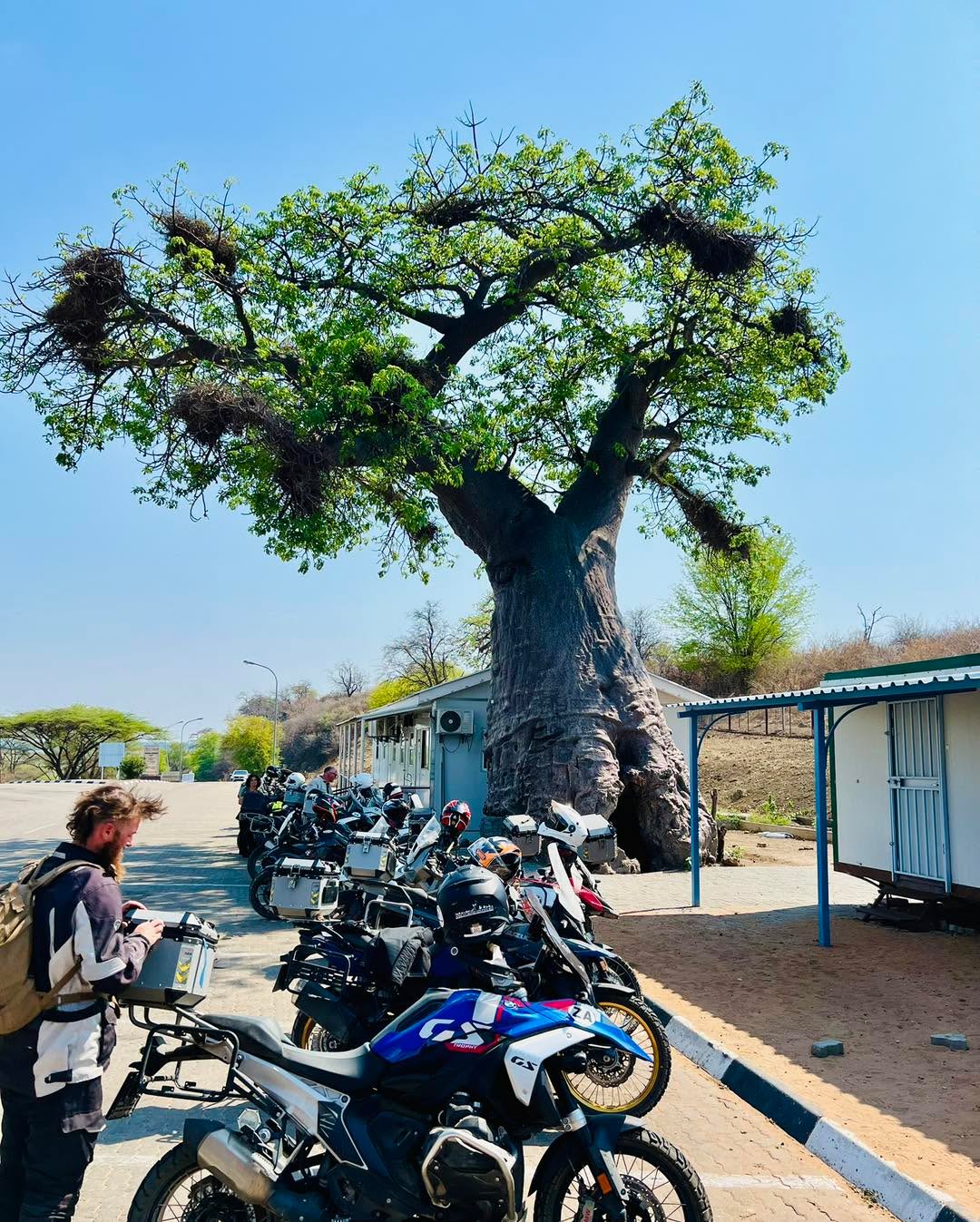 2025 The Grand Tour - Day 8&9
Riding across the Chobe National Park on our way to Livingston we had our first real taste of Africa’s wildlife The next two days where spent in Livingston with a day trip to Victoria Falls and a Zambezi Sunset cruise 😎
https://www.africanmotoadventures.com/the-grand-tour
•
•
•
#motorcycletours #Zimbabwe #Zambia #african_portraits #motorycle #biker #bikersofinstagram #motorcycles #victoriafalls #VictoriaFallsAdventure #victoriafallszimbabwe #victoriafallsbridge #victoriafallszambia #BMW