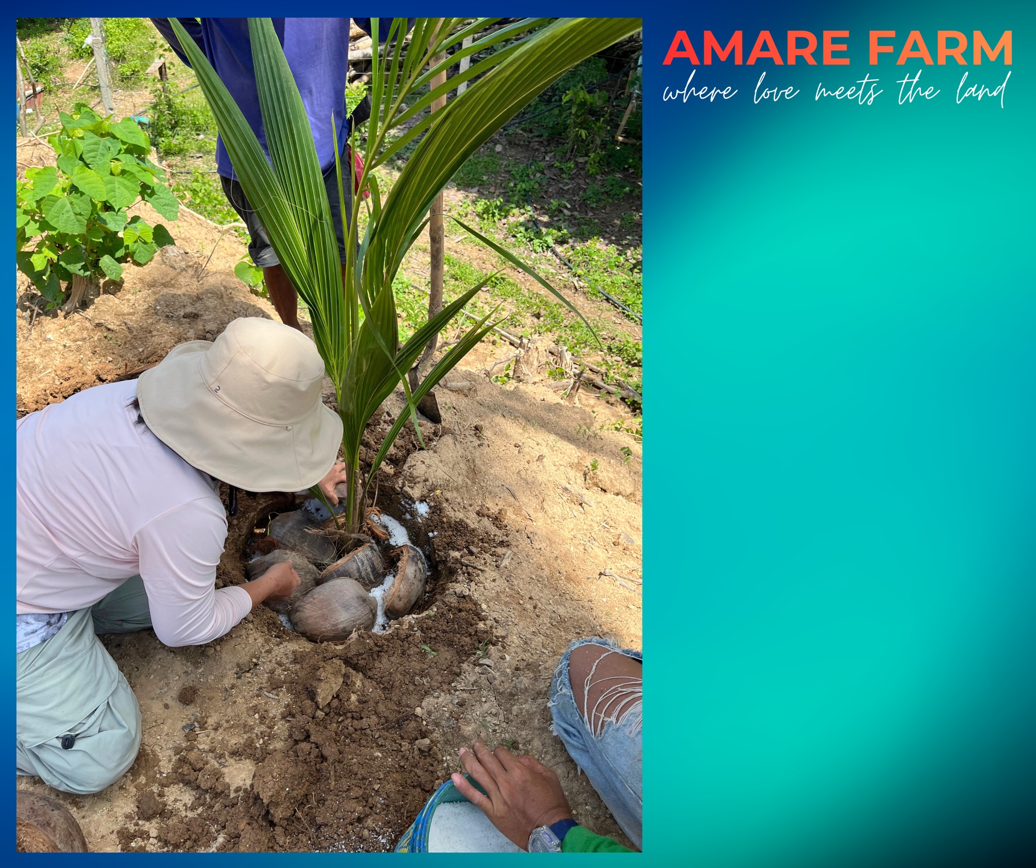 Planting dreams, one tree at a time. 🌱
Pandan coconut