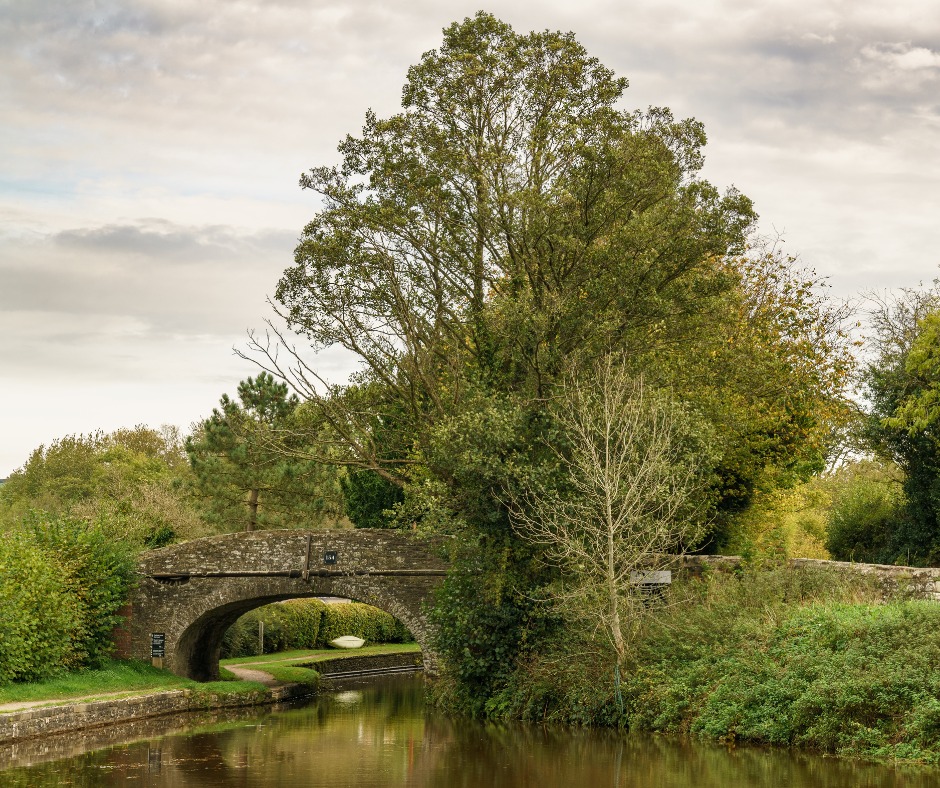 There’s a kind of hush by the rivers in November that feels like it belongs just to you. The Wye, Elan, and Severn drift quietly, golden leaves floating along the water, valleys wrapped in early frost and mist. You might catch a glimpse of a bird preparing for winter, or hear the faint splash of water over stones.
It slows you down, doesn’t it? Makes you notice the little things. The riverside paths in Powys have that gift — they remind you to breathe, to look, to just be for a while.�#MidWalesMyWay #PowysRivers #AutumnWalks #ExploreOutdoors
Mae rhyw fath o dawelwch wrth yr afonydd ym mis Tachwedd sy’n teimlo’n eiddo i chi’n unig. Mae’r Wysg, Elan a Hafren yn llifo’n dawel, dail aur yn nofio ar y dŵr, dyffrynnoedd wedi’u lapio mewn rhew a niwl cynnar. Efallai y cewch gip o aderyn yn paratoi ar gyfer y gaeaf, neu glywch sblas ysgafn o ddŵr dros y creigiau.�Mae’n eich arafu, onid yw? Yn gwneud i chi sylwi ar y pethau bach. Mae llwybrau wrth yr afon ym Mhowys yn cynnig y rhodd hon—mae’n eich hatgoffa i anadlu, edrych, a bod dim ond chi am ychydig.�#MidWalesMyWay #AfonyddPowys #CerddedGaeaf #ArchwilioAwyrAgore