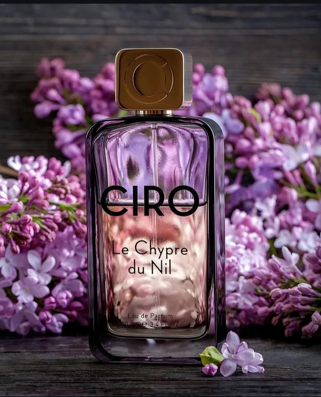 Segui il corso del Nilo e lasciati avvolgere dal suo fascino eterno.
Le Chypre du Nil di Ciro celebra la maestositĂ del fiume e la lussureggiante opulenza del delta. La fragranza si apre con bergamotto e assenzio, sostenuti da un tocco piccante di pepe di Sichuan. Nel cuore sboccia un bouquet di rosa turca e iris vellutato, arricchito da frutta secca. Il fondo chypre rivela patchouli, ambra, suede e muschio, offrendo profonditĂ e sensualitĂ .
Le Chypre du Nil Ăš un viaggio sensoriale tra oasi verdeggianti e acque scintillanti.
Naviga nel mondo di Ciro con Le Chypre du Nil e lasciati sedurre dalle sue note eleganti.
đđđđđ đđđđđđ đđđđđ - đđȘđŽđ”đłđȘđŁđ¶đ”đ°đł đąđŻđ„ đđ„đ·đȘđŽđ°đł
đđȘđ€đ©đŠ đđąđłđ§đ¶đź - đđŹđȘđŻ đ€đąđłđŠ - đđ°đźđŠ đ§đłđąđšđłđąđŻđ€đŠđŽ - đđłđąđŻđ„ đđčđ±đŠđłđȘđŠđŻđ€đŠ - đđ¶đŽđ”đ°đźđȘđŽđŠđ„ đ±đłđ°đ„đ¶đ€đ”đŽ
.
.
.
#CiroParfums #LeChypreDuNil #ChypreFragrance #LuxuryPerfume #OmniaLuxuryTrade