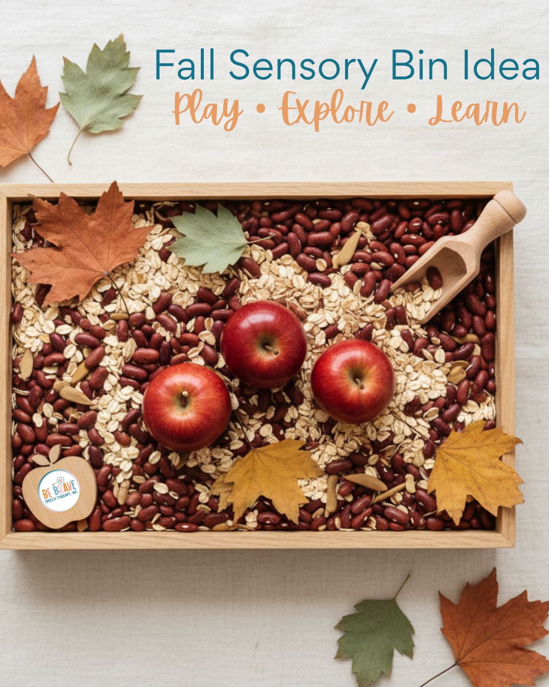 Kids love feeling with all their senses, which is why a sensory bin is SUCH a great idea for them to touch, feel, learn, and PLAY!!! And while they're playing some language can be incorporated in it :)
Try hiding little “apples” to match or count:
✨ Find an apple
✨ Label or count
✨ Describe what you see and feel
This activity encourages:
🎧 Listening
🗣 Vocabulary growth
🤲 Sensory exploration
💛 Shared connection during play
It doesn't need to be perfect Mom or Dad — just notice what your child is doing, name wha you see, and most importantly have fun playing together!
#SpeechTherapyIdeas #SensoryBinPlay #FallSpeechTherapy #ReceptiveLanguage #PlayBasedLearning #LanguageDevelopment #SLP #SpeechTherapist #BeBraveSpeechTherapy #AACFriendly #EarlyLanguageSkills #ParentChildPlay #escondidomoms #escondidocalifornia #sanmarcosmoms #sanmarcoscalifornia #vistamoms #vistacalifornia #northcountysdmoms #valleycentercalifornia #fallbrookcalifornia #sandiegoslp #SpeechTherapist #SpeechPathologist #PrivatePracticeSLP #pediatricslp #escondidokids #sanmarcoskids #hiddenmeadows
