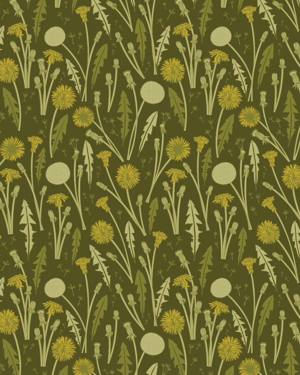 Although as a gardener I don’t love having a yard full of dandelions, I do have a bit of an affinity for them. I really enjoy how they look so different from one stage to the next throughout their lives. So much fun to draw! They’re also just so common and prolific in my childhood memories. I remember picking bouquets of them from empty lots in the town where I grew up, and hunting for perfectly intact spheres of their seeds that I could blow away and make wishes on.