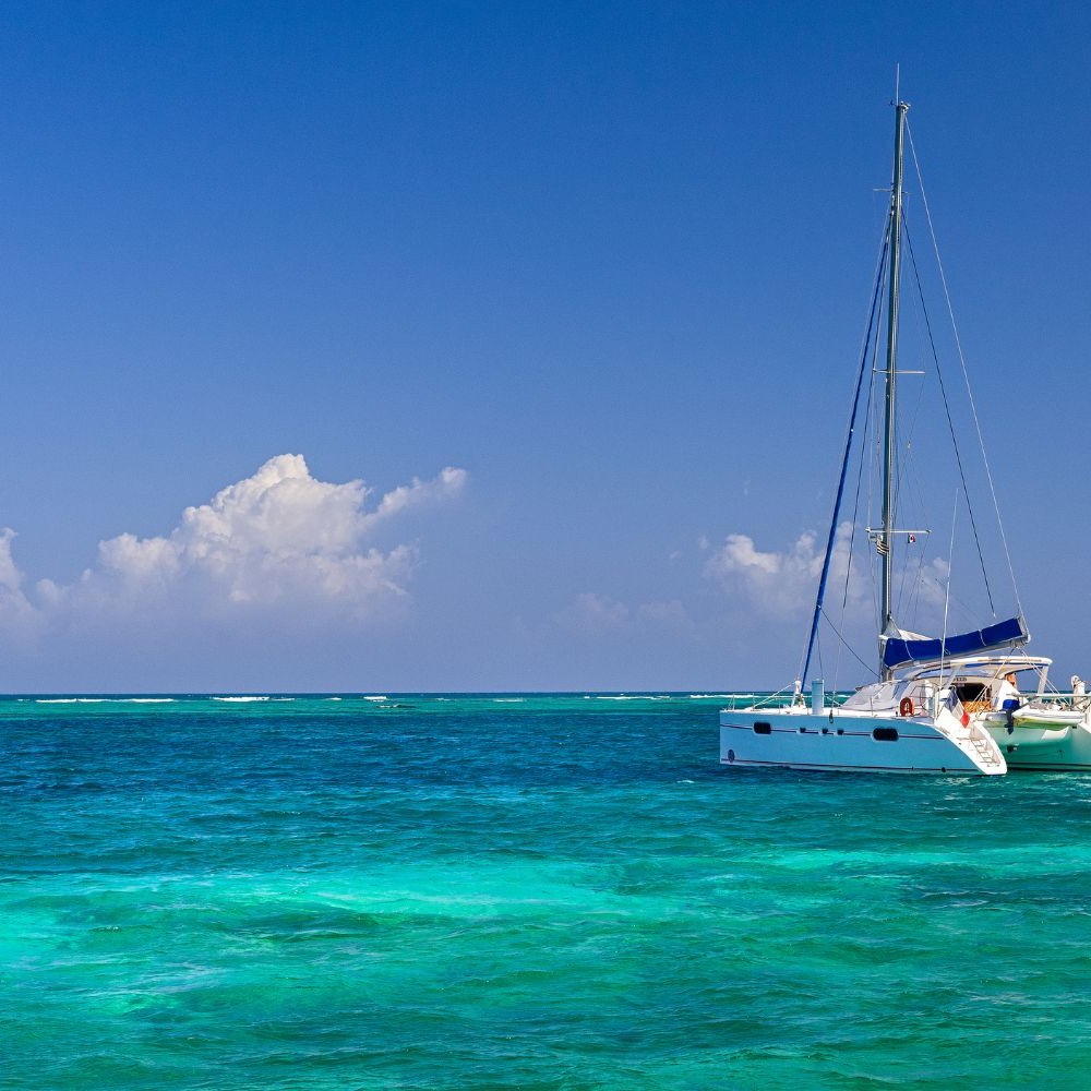 ⛵ Envie de larguer les amarres à Saint-Barth ?
Embarquez pour une journée magique autour de l’île… l’eau turquoise, les plages secrètes, les criques sauvages et les plus beaux mouillages des Caraïbes vous attendent 🌴💙
Au programme :
✨ Plonger dans le lagon de Saint-Jean
✨ Découvrir la beauté sauvage de Colombier
✨ S’arrêter à Shell Beach, célèbre pour son sable plein de coquillages
✨ Profiter d’une baignade dans les eaux calmes du Fourchue
✨ Admirer les tortues, poissons tropicaux et coraux colorés
Entre paysages sublimes, snorkeling, soleil et douceur de vivre, Saint-Barth offre une expérience unique, que ce soit en famille, entre amis ou en amoureux.
Un vrai paradis sur l’eau 😍 🌊
A retrouver sur : https://www.sachaboatservices.com/catamaran-saint-barth
📩 Infos & réservations en message privé
#saintbarth #caribbeanlife #cruise #bateau #mer #voyage #tropical #vacances #snorkeling #plages #paradis #escapade #caribbean