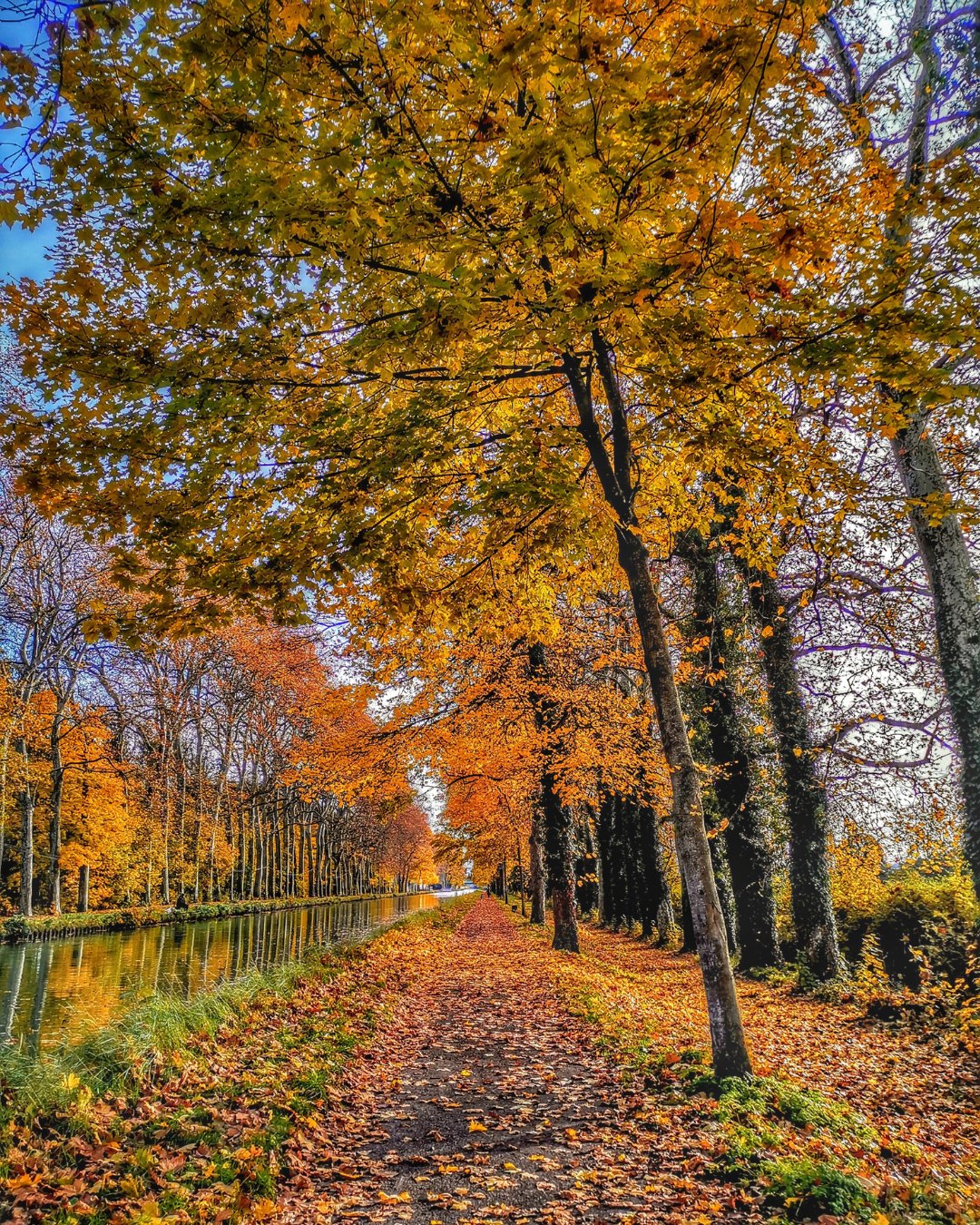 Pure magie !
Le spot parfait pour une balade d'automne sur les bords du Canal LatĂ©ral Ă la Loire đ
đ·Laure Chap
#Loireenvie #Automne #Canallateralalaloire #BourgogneFrancheComté