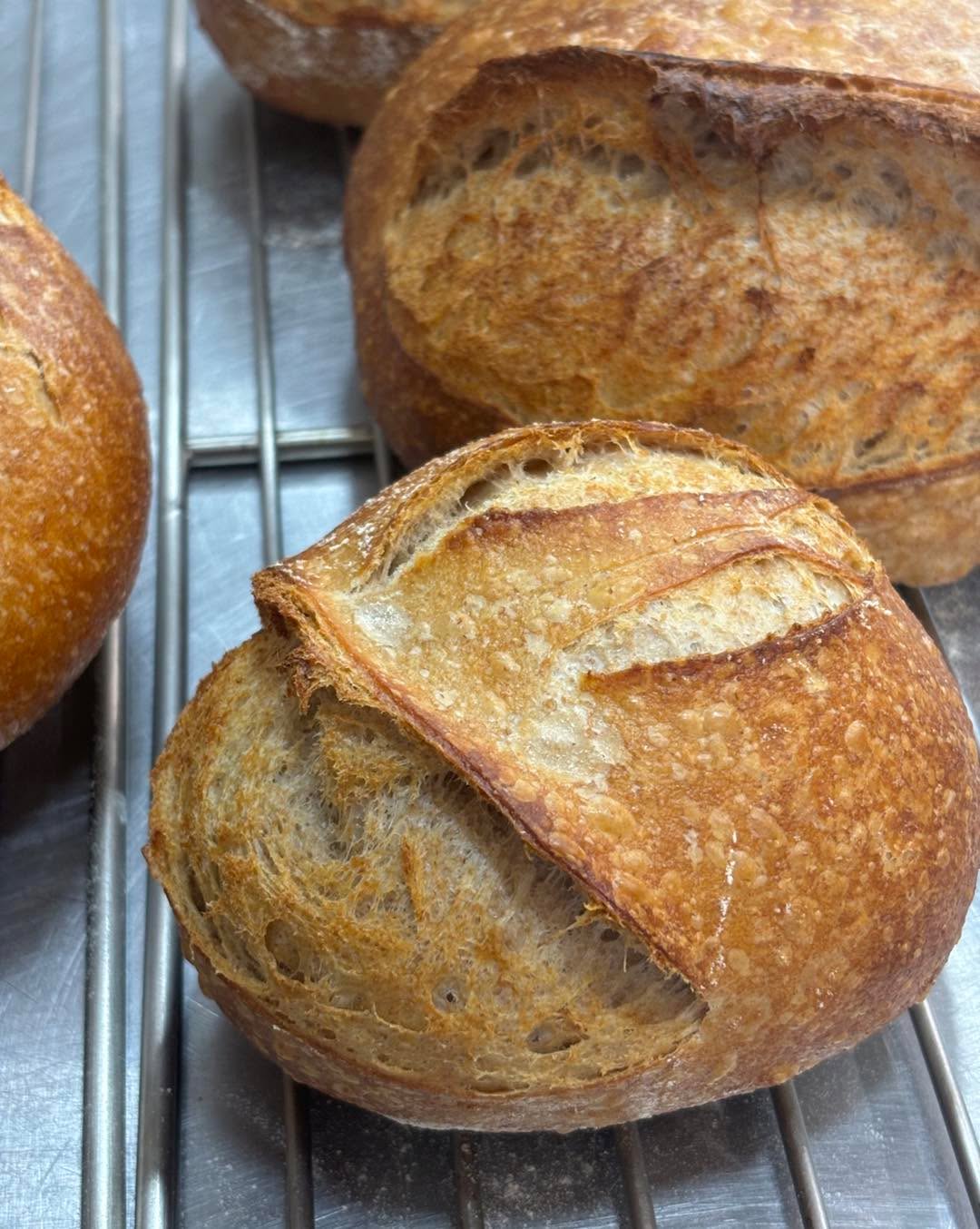 Holiday bread preorders are live!
Make sure your holiday spread includes FRESH sourdough and focaccia 🤤
Live on the EBF website now, we have preorders for pickup on 11/24, 11/25, and 11/26. Available each day are 20 full-size loaves of sourdough and 8 full size focaccia loaves. Pick up after 12pm in the farmstand!
The farmstand will close for the season on Thanksgiving day (11/27). Luckily our bread freezes impeccably! So stock the freezer for the winter if you can make the bread last that long.
#getthatbread