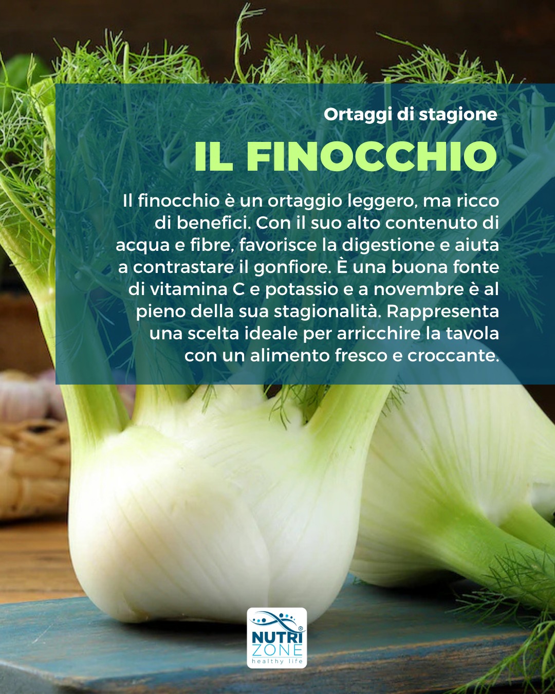 👉 Il finocchio è un ortaggio leggero, ma ricco di benefici.
Con il suo alto contenuto di acqua e fibre, favorisce la digestione e aiuta a contrastare il gonfiore.
È una buona fonte di vitamina C e potassio e a novembre è al pieno della sua stagionalità.
Rappresenta una scelta ideale per arricchire la tavola con un alimento fresco e croccante.
#teamNutriZone #nutrizone #nutrizione #nutrizionista #biologonutrizionista #biologobrescia #nutrizionistabrescia #biologonutrizionistabrescia #brescia #lombardia #alimentazione #alimentazionesana #cucinasana #cucinasalutare #finocchio #finocchi #autunno