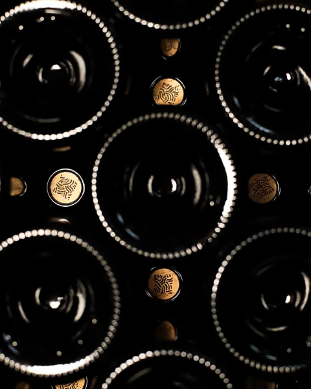 En el corazón de Pouilly-Fumé, Domaine de la Croisée cultivan su viñedo con una mirada profunda hacia la tierra y quienes la habitan.
Desde 2020, el dominio sigue una filosofía ecológica y humana, respetando la vida de los suelos y el equilibrio del entorno. Entre bosques, setos y arroyos, las vides crecen en un paisaje vivo donde la naturaleza marca el compás. Cada parcela se observa con paciencia, cada vendimia se recoge en su punto exacto, y cada vino nace de fermentaciones naturales que expresan la pureza del terroir.
Un trabajo honesto, preciso y lleno de vida.
📸 @domainedelacroisee