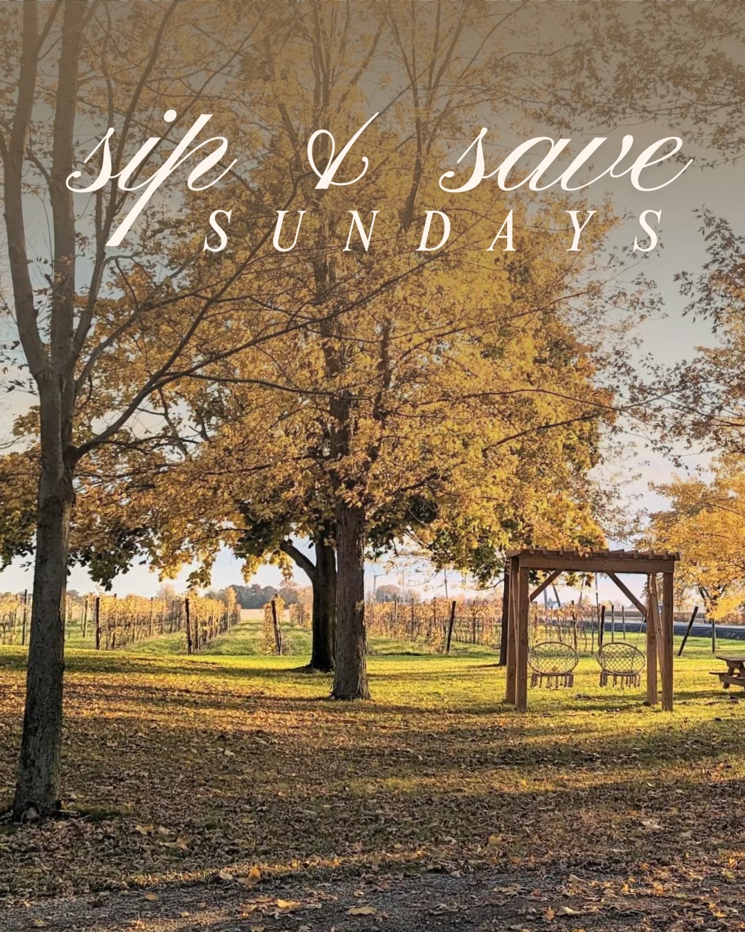 There’s something timeless about a quiet Sunday at the winery — the gentle clink of glasses, the soft notes of conversation, the first sip of a favourite wine.
Experience it for yourself during Sip & Savour Sundays, 11 a.m. – 5 p.m., and enjoy ½ off tasting flights or wine by the glass with any bottle purchase.
#YQG
