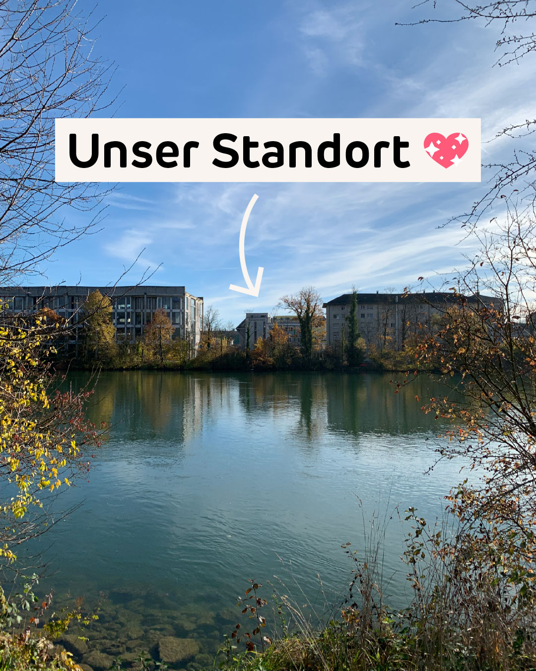🍁 Das Naherholungsgebiet entlang der Aare zeigte sich heute im schönsten Herbstlicht. Wir nutzen die Gelegenheit, um euch kurz zu erzählen, wo unsere Praxis eigentlich genau liegt.
📍🗺 Der Zeughausweg in Zuchwil liegt gleich hinter dem Kino Canva. Man könnte auch "Luzernstrasse 9" sagen, doch mit dem Zeughausweg weiss auch das Navi, wo's durchgeht. Nämlich immer von Zuchwil her der Aarestrasse entlang.
Bis jetzt weist erst ein kleines, aber feines Poster darauf hin, dass wir im Januar 2026 loslegen. Doch schon bald kommen richtige Beschriftungen – vorne an die Luzernstrasse, vor den Parkplatz, auf unsere Fensterscheiben, und und und.
Schon bevor wir eröffnen, veranstalten wir übrigens kostenlose Kurse, als nächstes zum Thema "Katzen-Notfall: Was tun?". Mehr Infos unter www.felivet.cat/kurs und im Link in unserer Bio. 😻