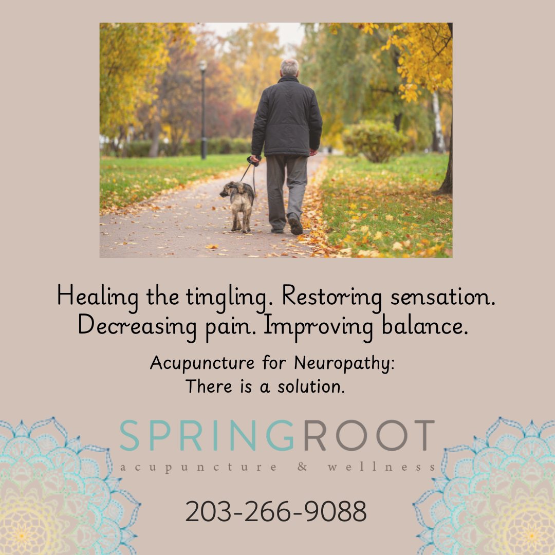 Return to the simple things that bring you joy, without neuropathy. One patient felt the sand beneath her feet this summer without pain. Another can walk barefoot in the morning without feeling like she's walking on rocks.
15 minute consultations are complimentary. How can we help you?
📍 40 Main St N. Woodbury, CT 06798
📞 203-266-9088
🌐 www.springrootacupuncture.com
#SpringRootAcupuncture #acupunctureclinic #litchfieldcounty #connecticutacupuncture #NeuropathyRelief #neuropathy #NeuropathyTreatment #womenshealth #anxietyrelief #backpainrelief #griefsupport #ChronicPainRelief #overallhealth #Wellness #WoodburyCT #litchfieldcountyct #PainFreeLiving #backpain #allergyrelief