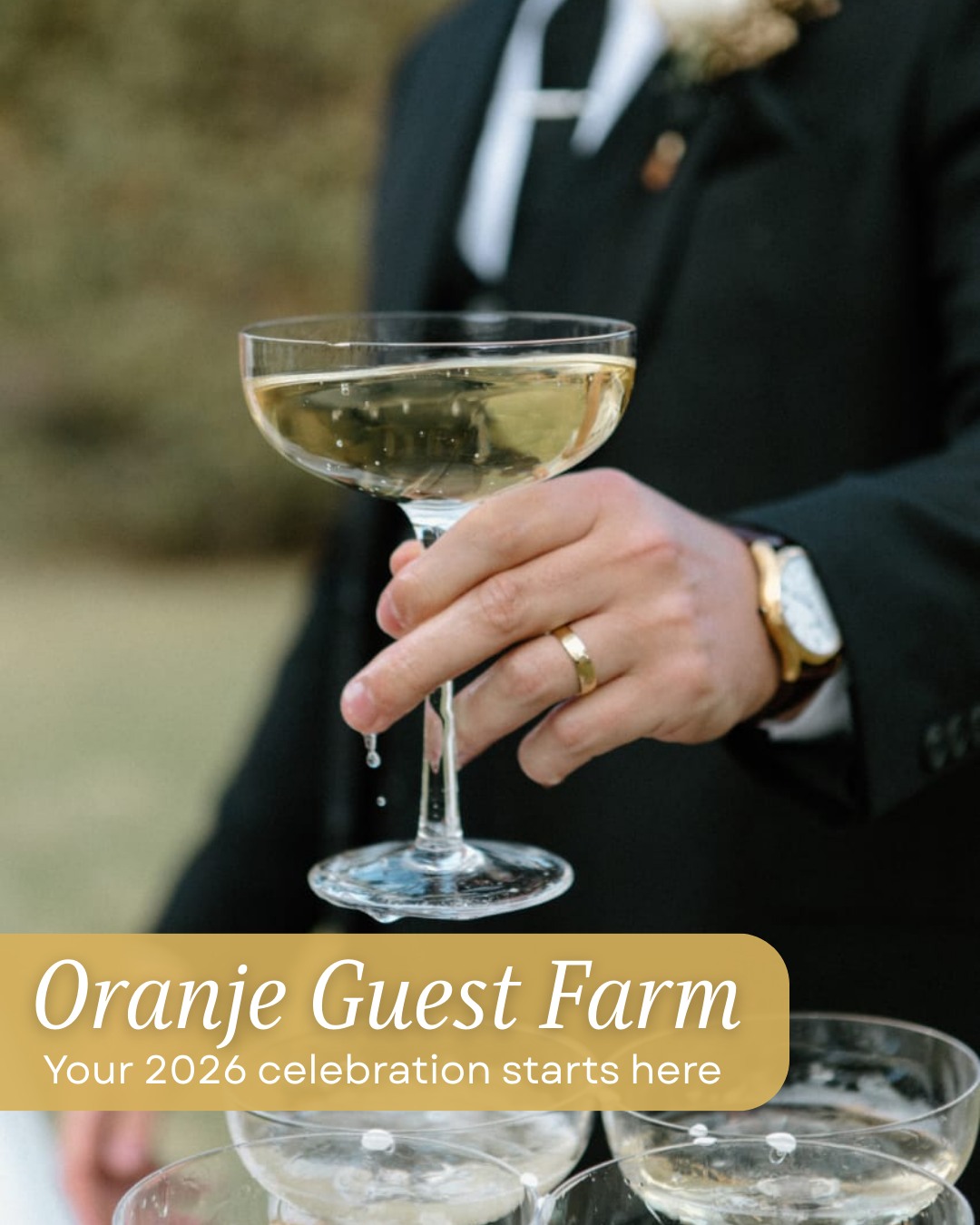 A new year brings new beginnings, new love stories, and new moments to celebrate. 🥂
Wishing you a joyful and hopeful 2026 from all of us at Oranje.
If you’re planning your special day, have a look at our 2026 wedding packages now available on our website. ✨
🌐 oranjegasteplaas.co.za
#OranjeGuestFarm #NewYear2026 #FreeStateGetaway