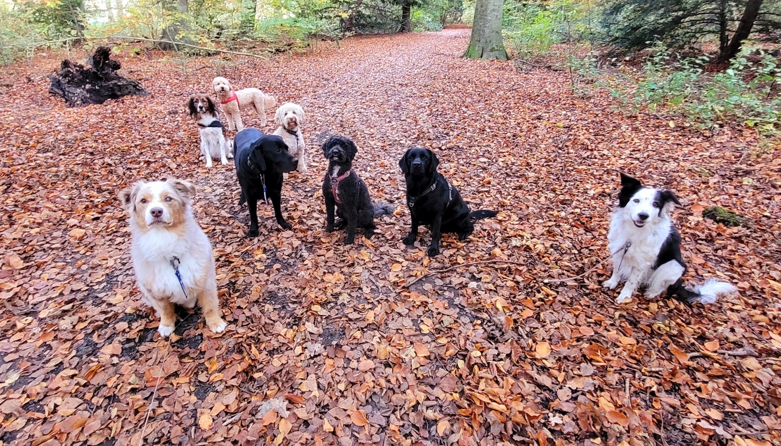 ๐๐Weer een groepsfoto๐๐