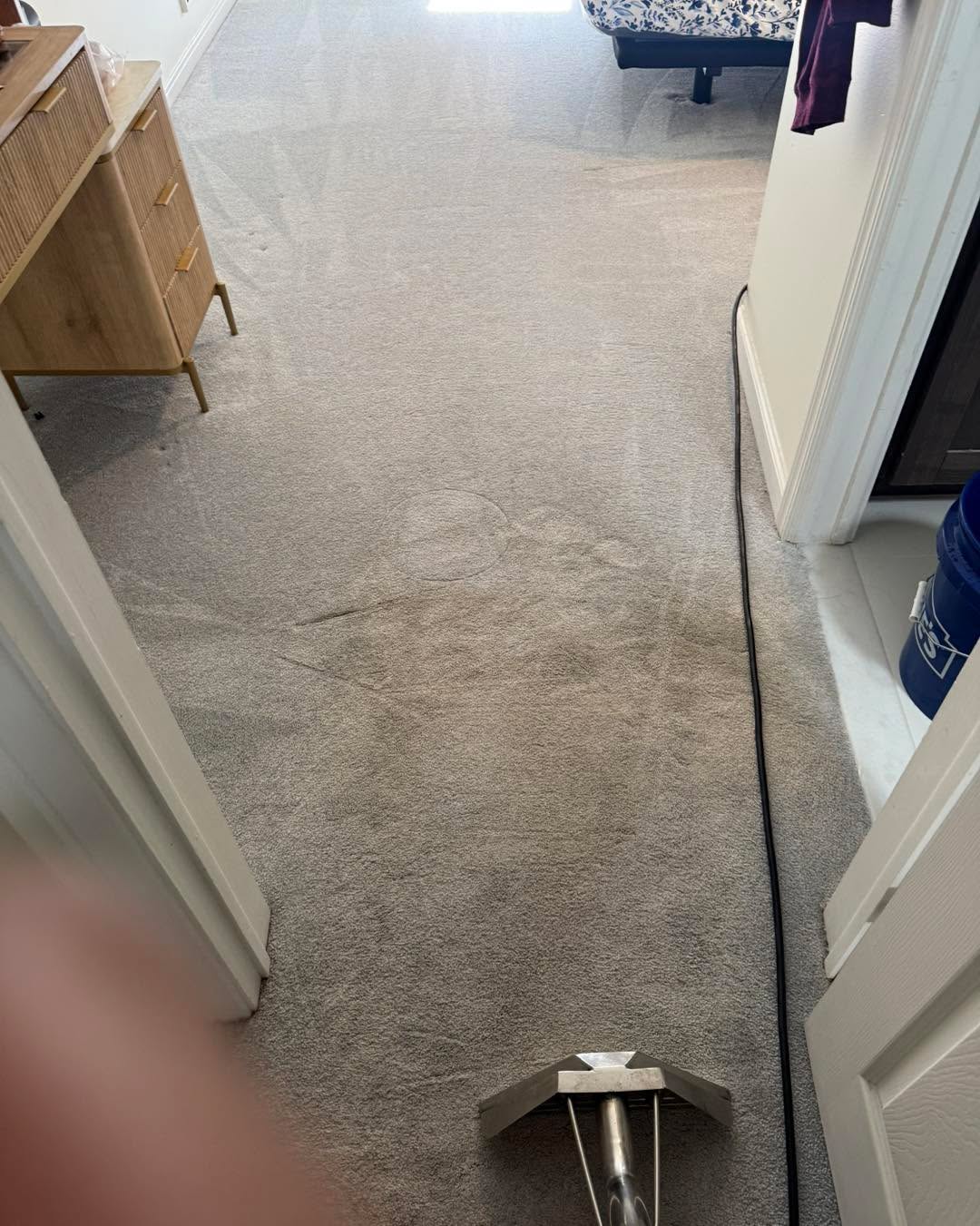 💧 From dull to fresh — one pass at a time.
Nothing beats that Shynex clean look!
You can see the difference — brighter, softer, and refreshed.
🧼 Professional carpet extraction done right.
📍 Serving Metro Detroit & Surrounding Areas
📞 (248) 687-6422
#shynexcleangroup #carpetcleaning #detroitcleaning #deepclean #beforeafter #michigancleaners #carpet #CarpetCleaning