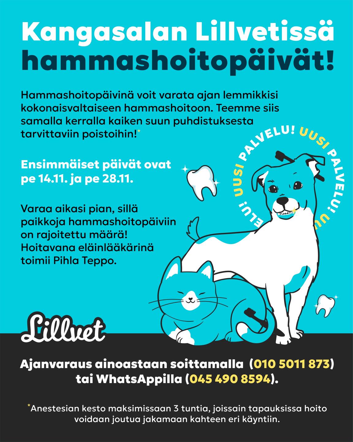 🦷 Uutta LILLVETISSÄ!
Kangasalan Lillvetissä starttaavat nyt hammaspäivät – päivät, jolloin lemmikkisi suu saa täydellisen huollon yhdellä kertaa!
🐶🐱 Hammashoitopäivänä tehdään kaikki yhdellä käynnillä: hammaskiven poisto, röntgen ja tarvittaessa myös poistot – kaikki turvallisesti saman anestesian aikana.
📅 Ensimmäiset hammaspäivät:
pe 14.11. ja pe 28.11.
Paikkoja on rajoitetusti – varaa siis nopeasti!
💬 Ajanvaraus vain soittamalla 010 5011 873 tai WhatsAppilla 045 490 8594.
Hoidosta vastaa hammaskirurgiaan perehtynyt eläinlääkärimme Pihla Teppo ja tiimi!