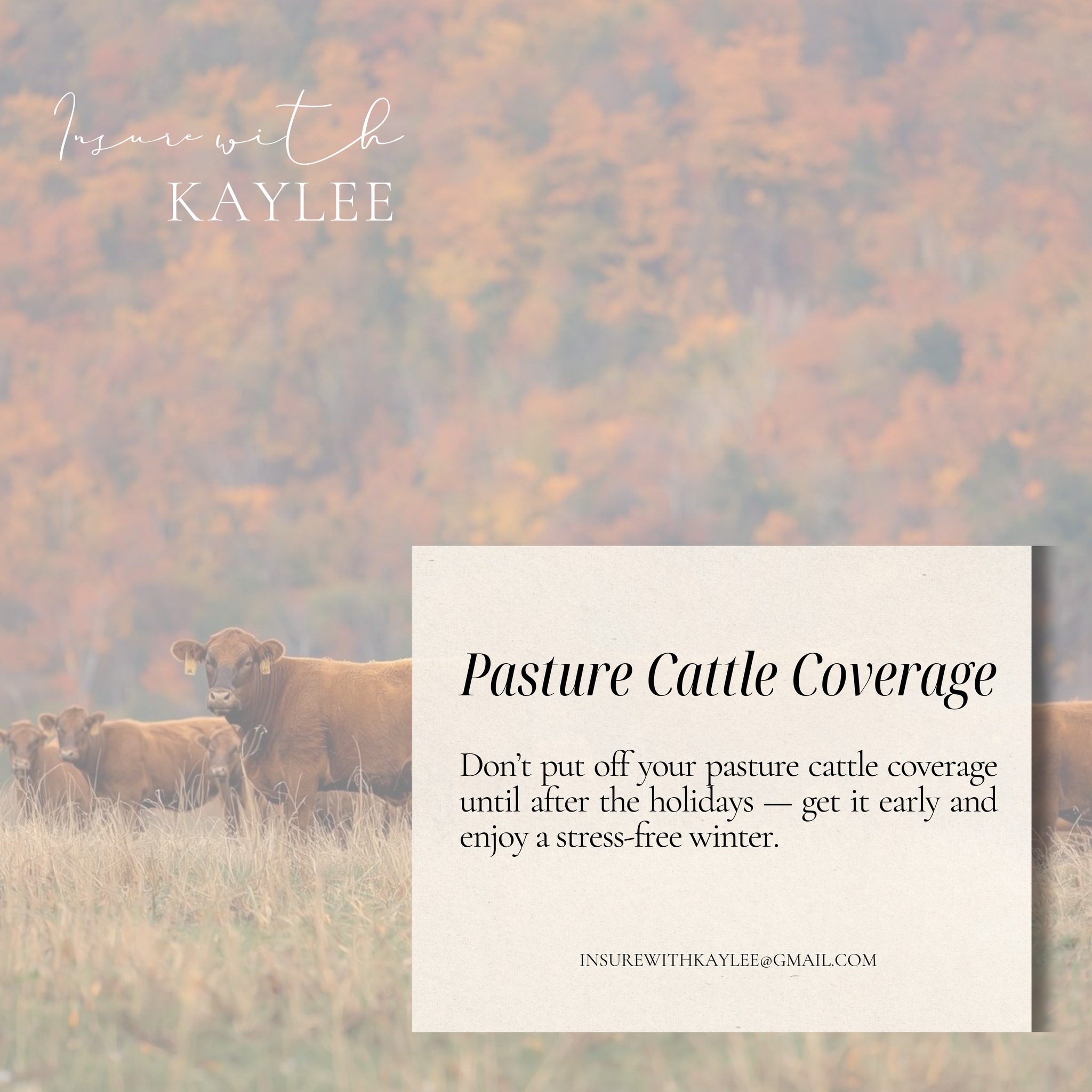 Winter weather, holiday travel, and changing pastures can bring unexpected risks.
If you haven’t secured pasture cattle coverage yet, now is a great time to get ahead of it so you can enjoy the season stress-free. 🤎
https://www.insurewithkaylee.info/