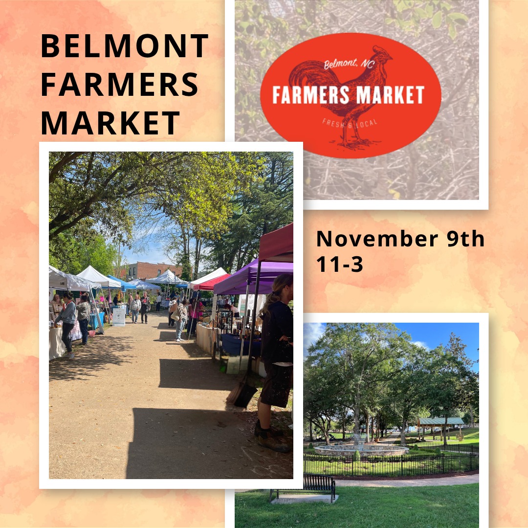 Join us today at the Belmont Farmers Market at Stowe Park!
We've got Gluten-Free Apple & Pumpkin Pies and for the first time our GF Sourdough Bread!