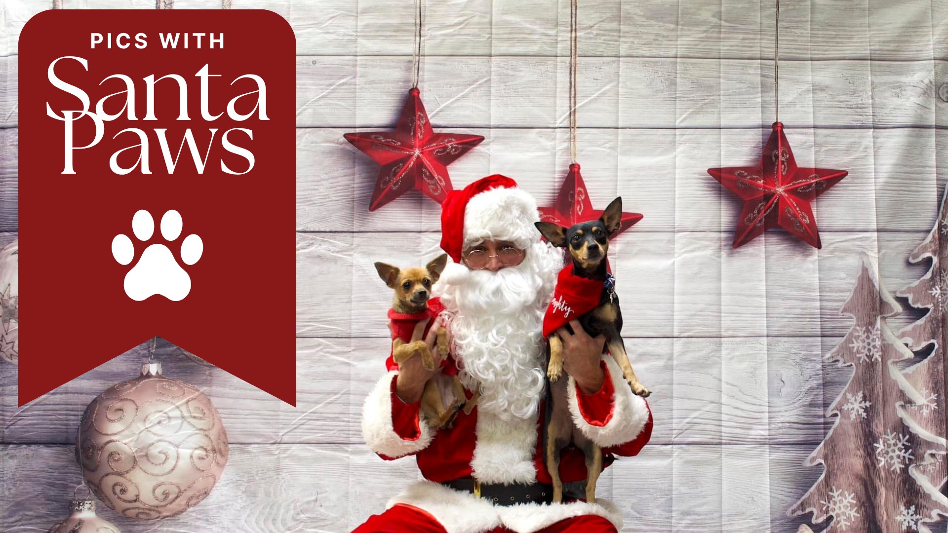 Mark your calendars because in one month, Santa Paws is coming to town, and you're invited! Bring your beloved pets for a special photo session with Santa Paws himself at @hwfeed for a wonderful cause.
Date: December 6, 2025
Time: 1:00 PM - 4:00 PM
Location: Hollywood Feed
Address: 3204 Camp Bowie Blvd, Unit 110, Fort Worth, Texas 76107
💵 Minimum Donation: $20 per pet photo
All proceeds will benefit Fort Worth Animal Care & Control
