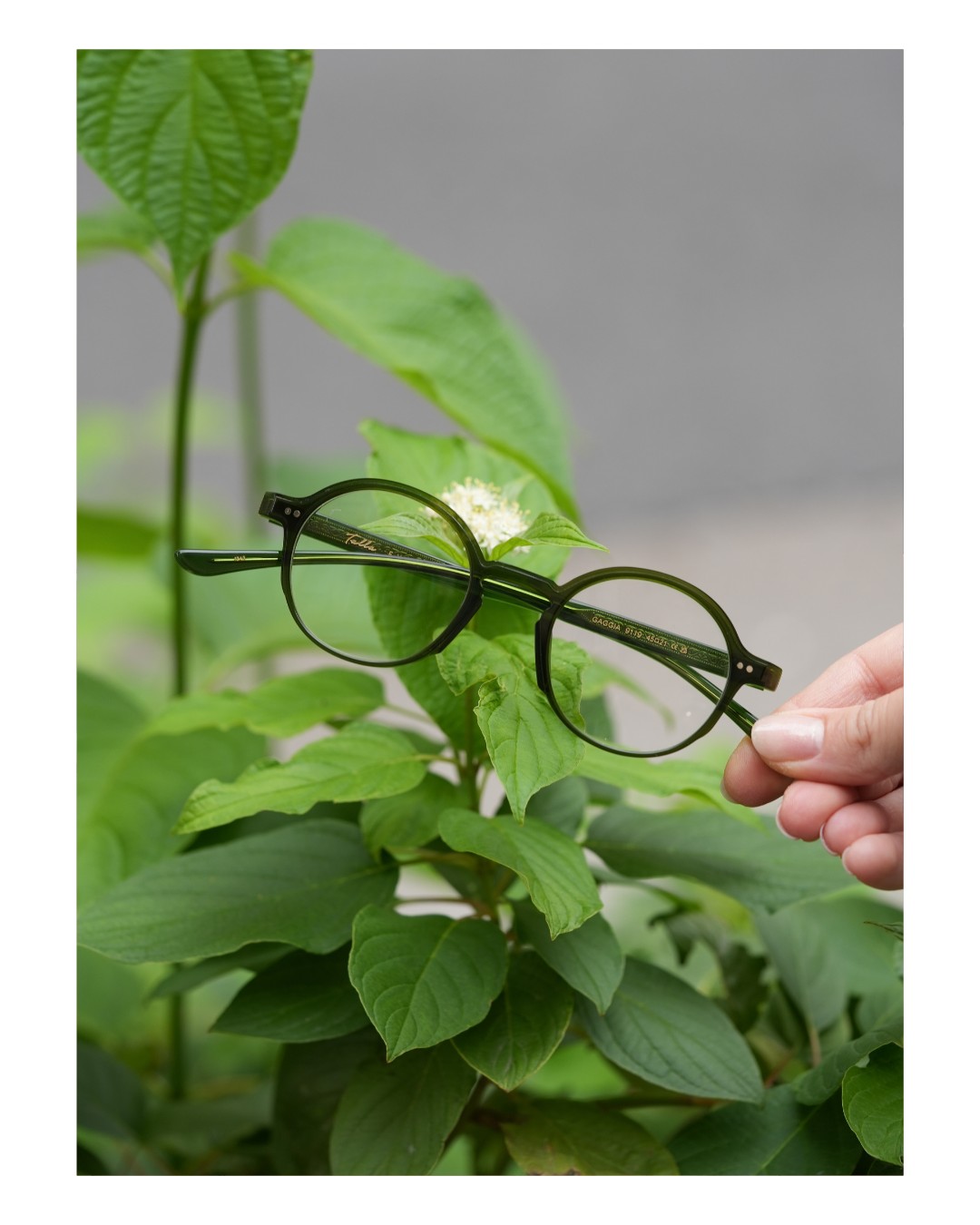 🌿 Élégance verte & design naturel !
Une monture @tallaeyewear qui cultive l’audace, tout en subtilité.
Teinte profonde, lignes rondes, et une touche de fraîcheur qu’on ne voit pas partout.
À porter sans modération.
-
Opticien l Opticien Montpellier l Optique l Lunette de vue l Lunette Montpellier